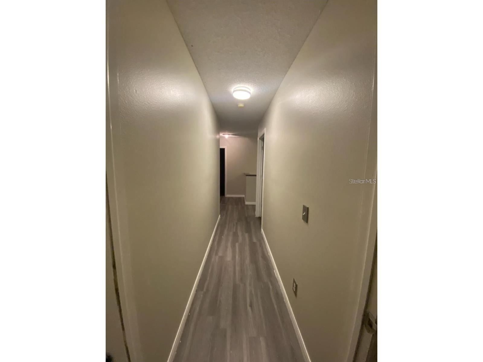 10206 Beneva Drive Tampa FL 33647 TB8517114 image6
