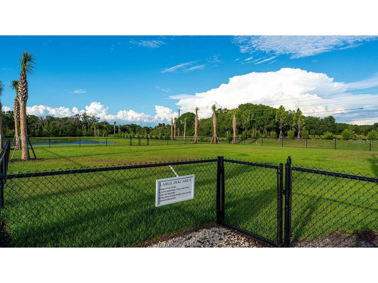 10206 Charlotte Drive Parrish FL 34219 A4677126 image50