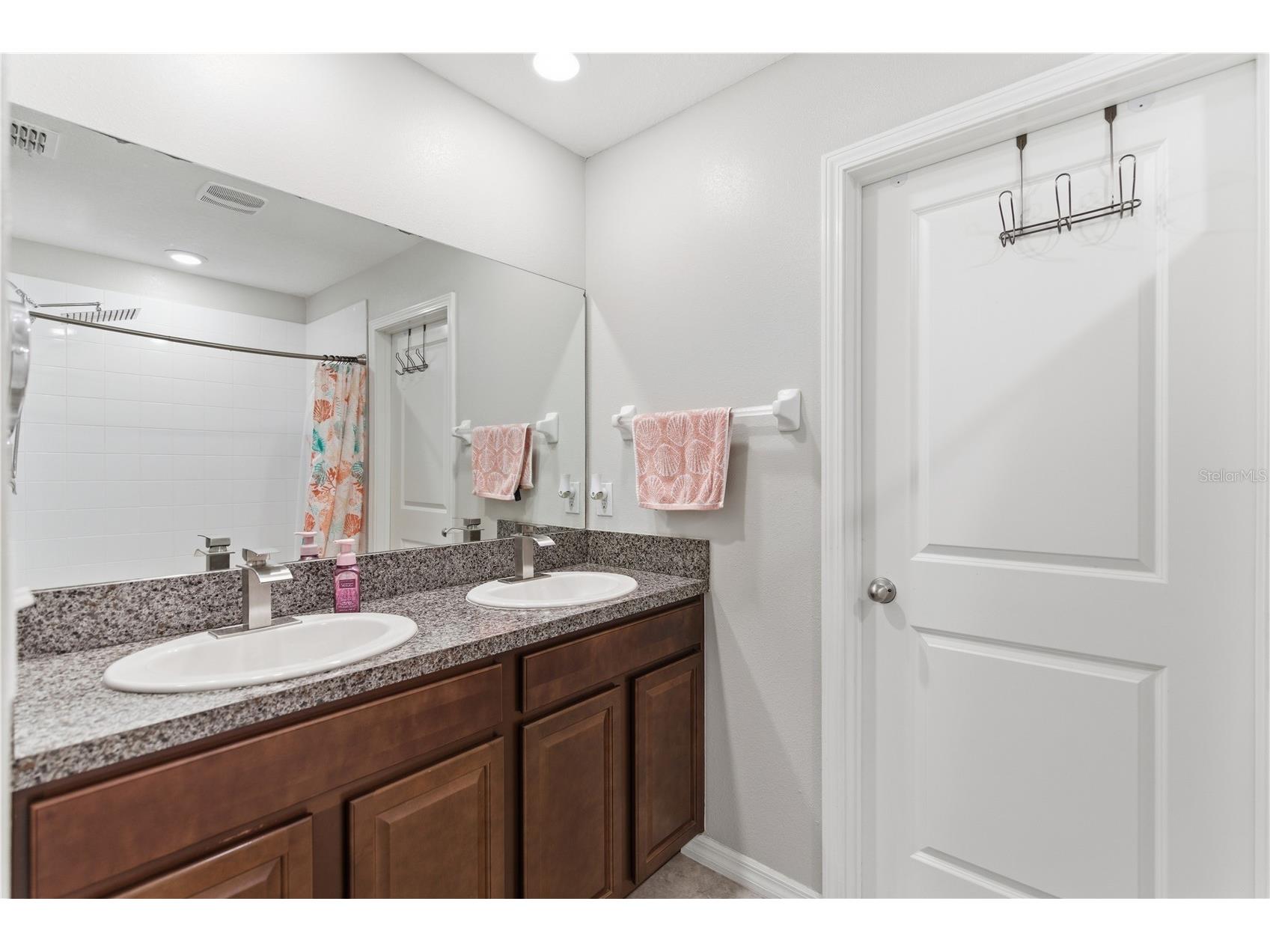 10206 Cool Waterlily Avenue Riverview FL 33578 TB8507514 image24