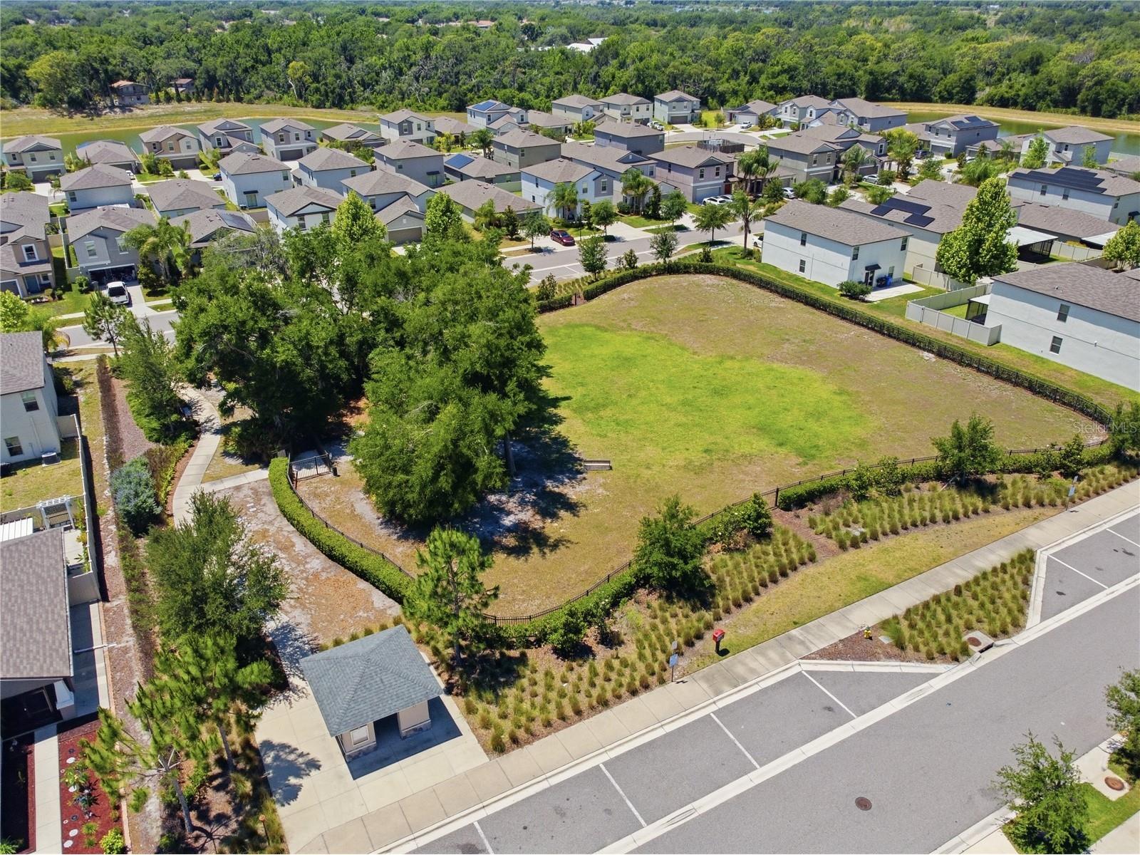 10206 Cool Waterlily Avenue Riverview FL 33578 TB8507514 image39