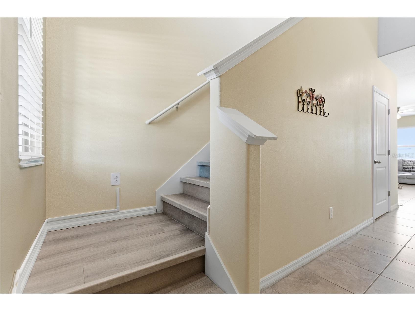 10206 Cool Waterlily Avenue Riverview FL 33578 TB8507514 image5