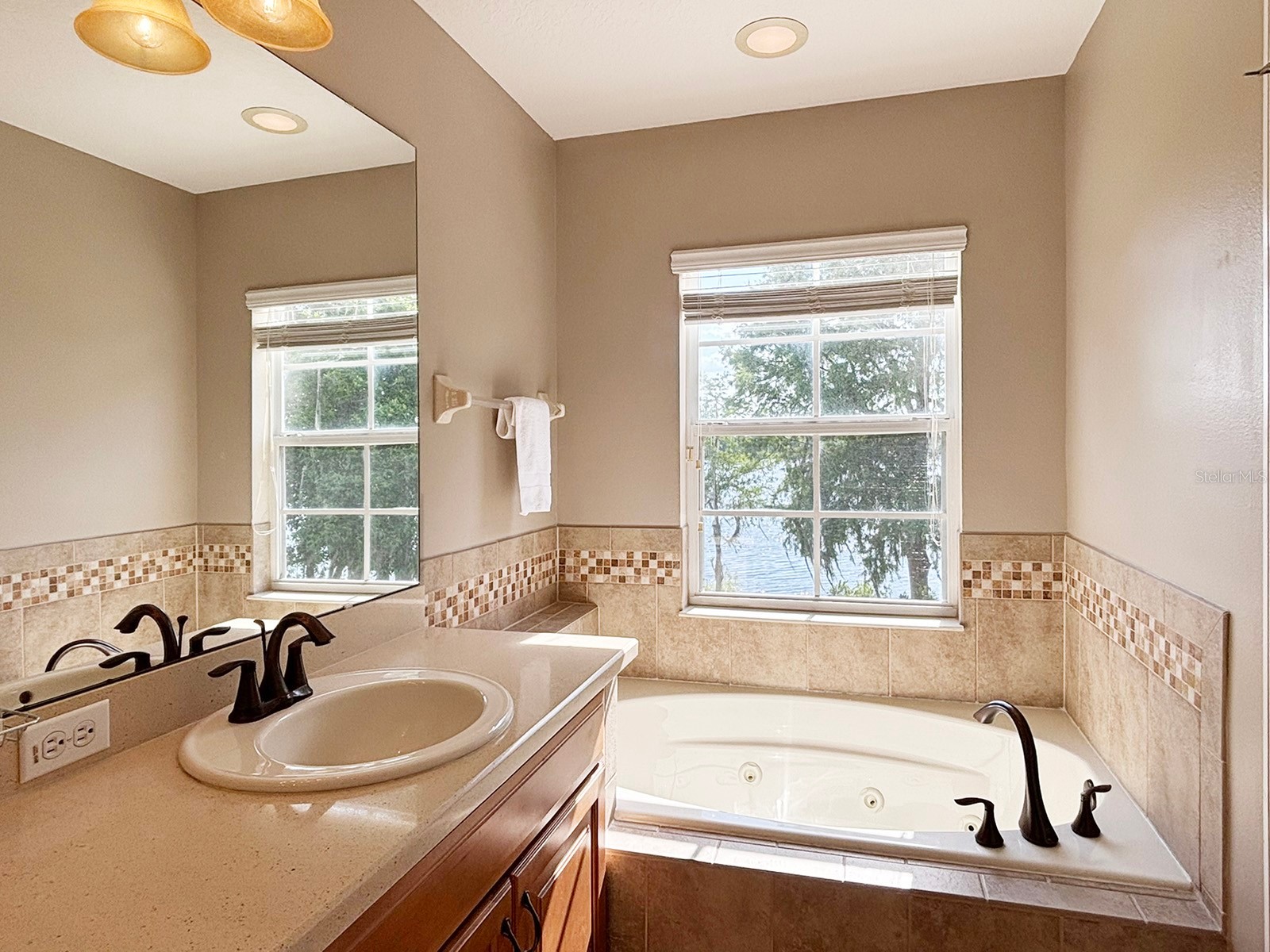 10206 Fallsgrove Street Orlando FL 32836 - South Lake S5149314 image22