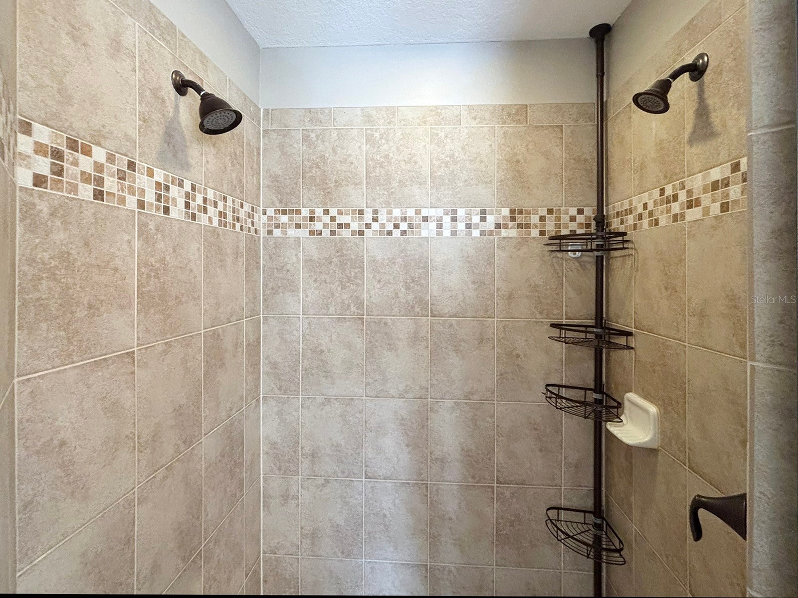 10206 Fallsgrove Street Orlando FL 32836 - South Lake S5149314 image24