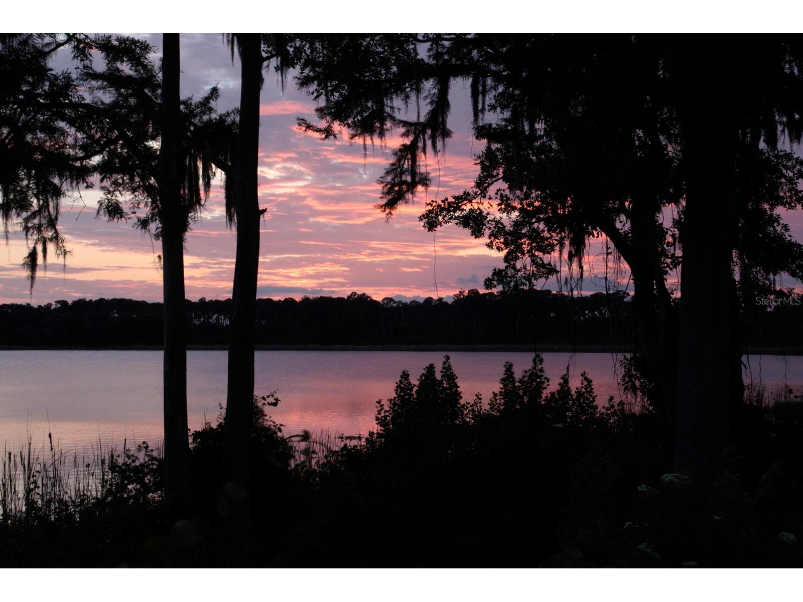 10206 Fallsgrove Street Orlando FL 32836 - South Lake S5149314 image25