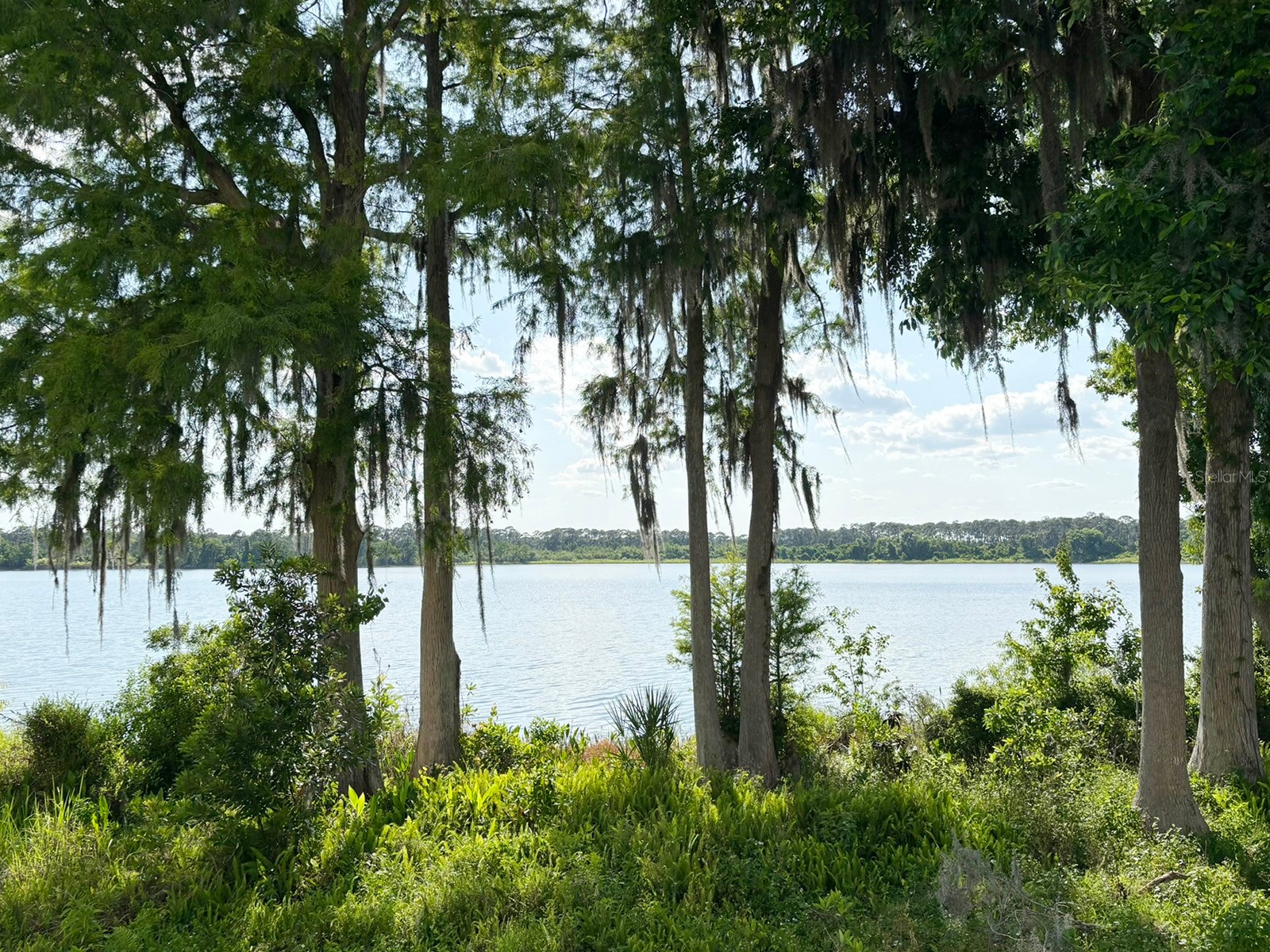 10206 Fallsgrove Street Orlando FL 32836 - South Lake S5149314 image32