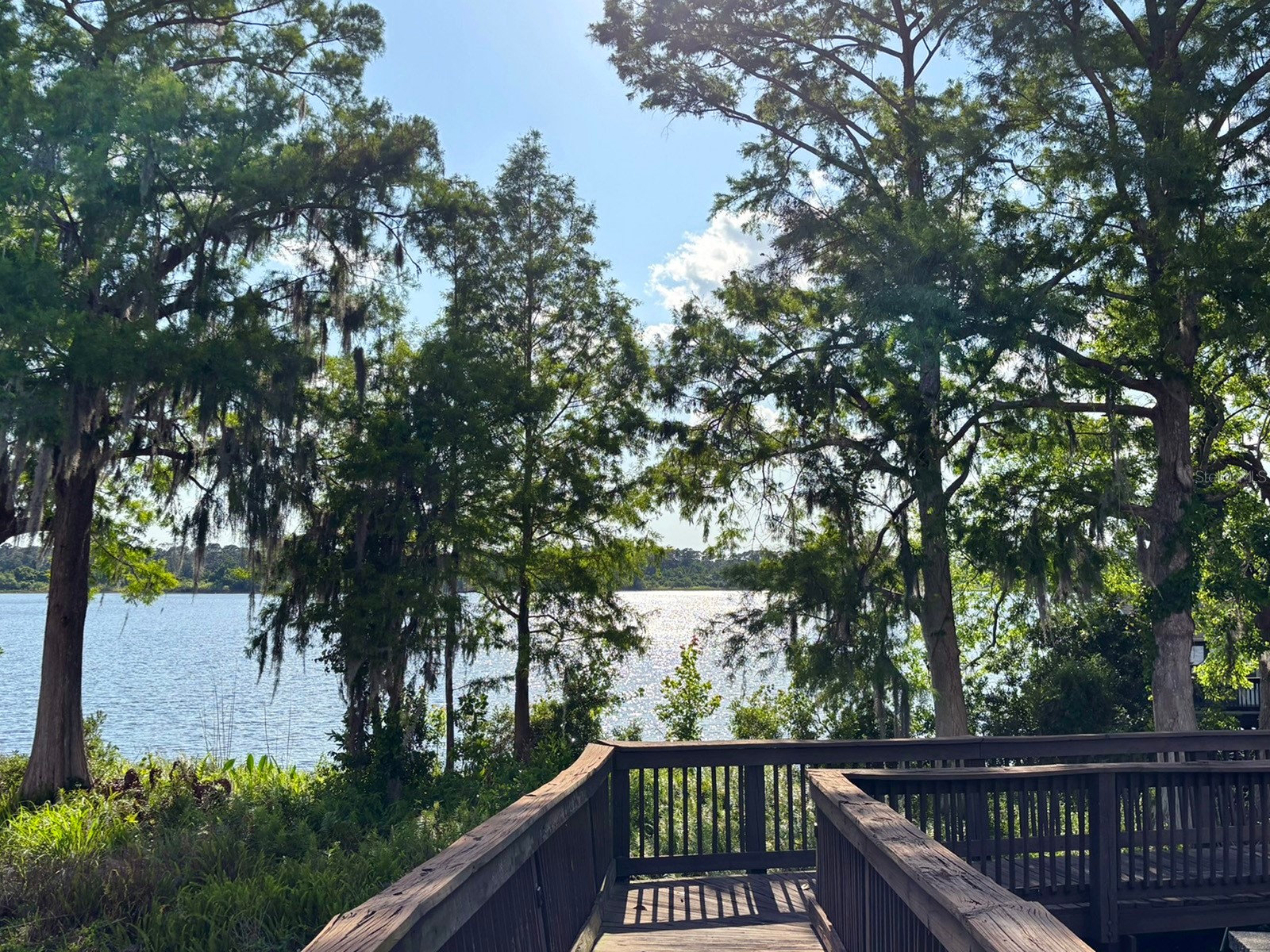 10206 Fallsgrove Street Orlando FL 32836 - South Lake S5149314 image35