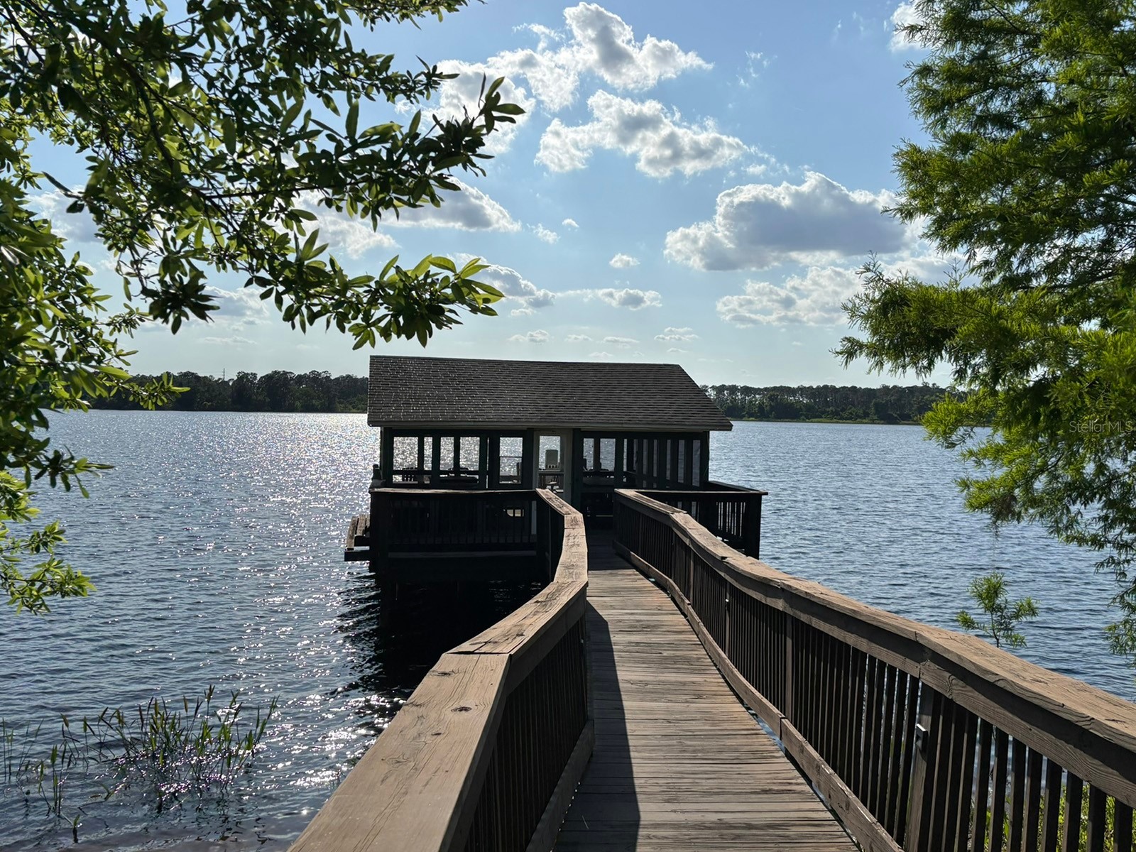 10206 Fallsgrove Street Orlando FL 32836 - South Lake S5149314 image36