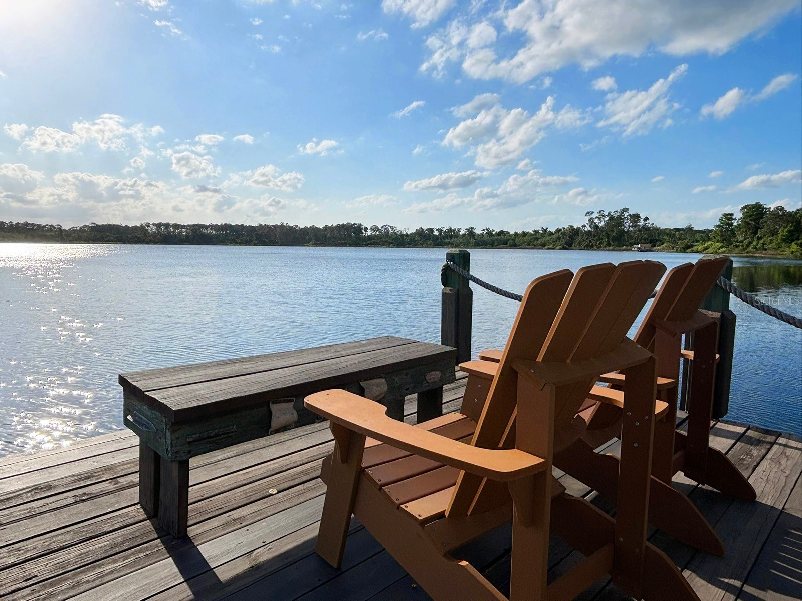 10206 Fallsgrove Street Orlando FL 32836 - South Lake S5149314 image39