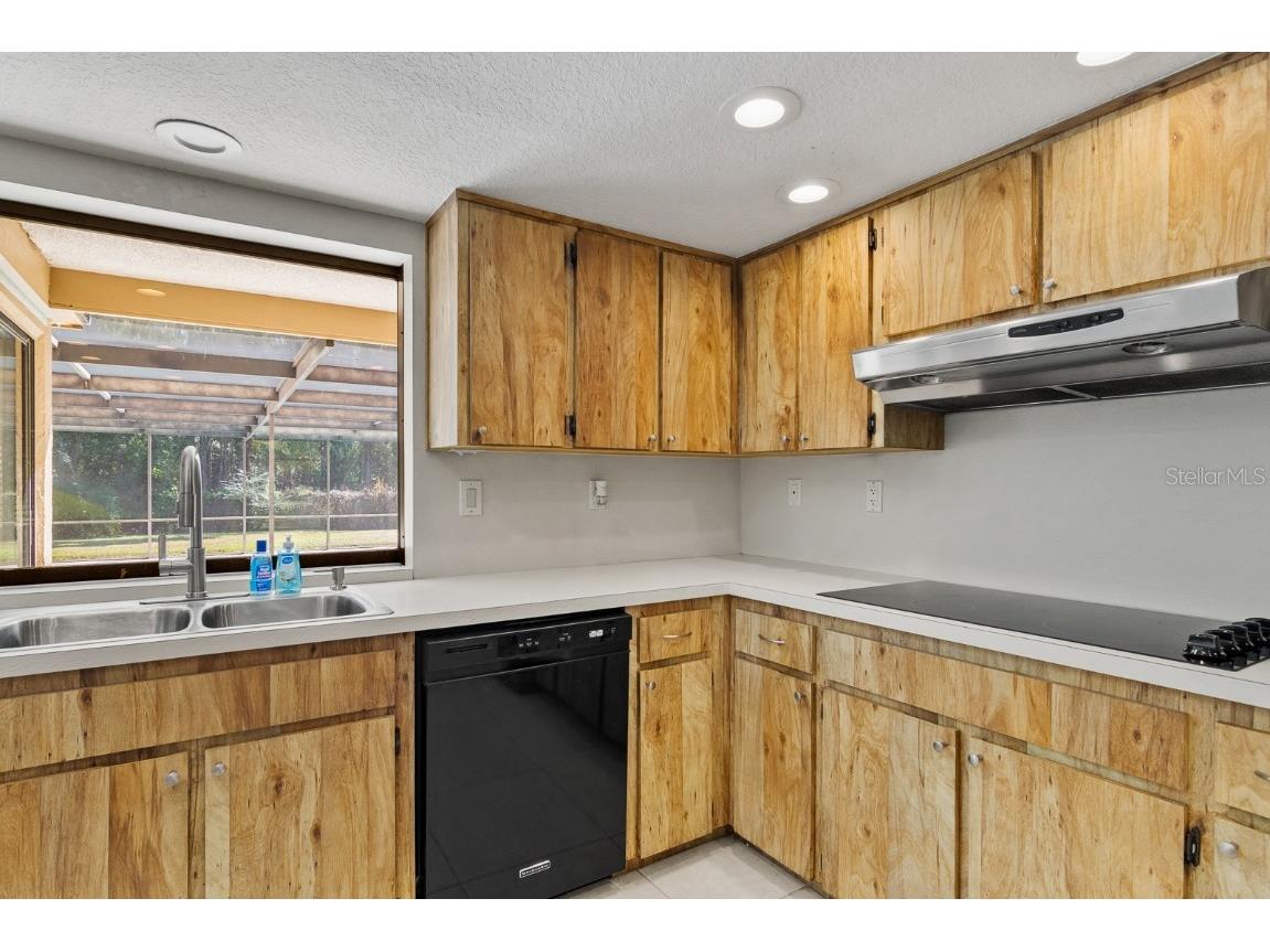 10206 Lakeview Drive New Port Richey FL 34654 TB8451797 image15