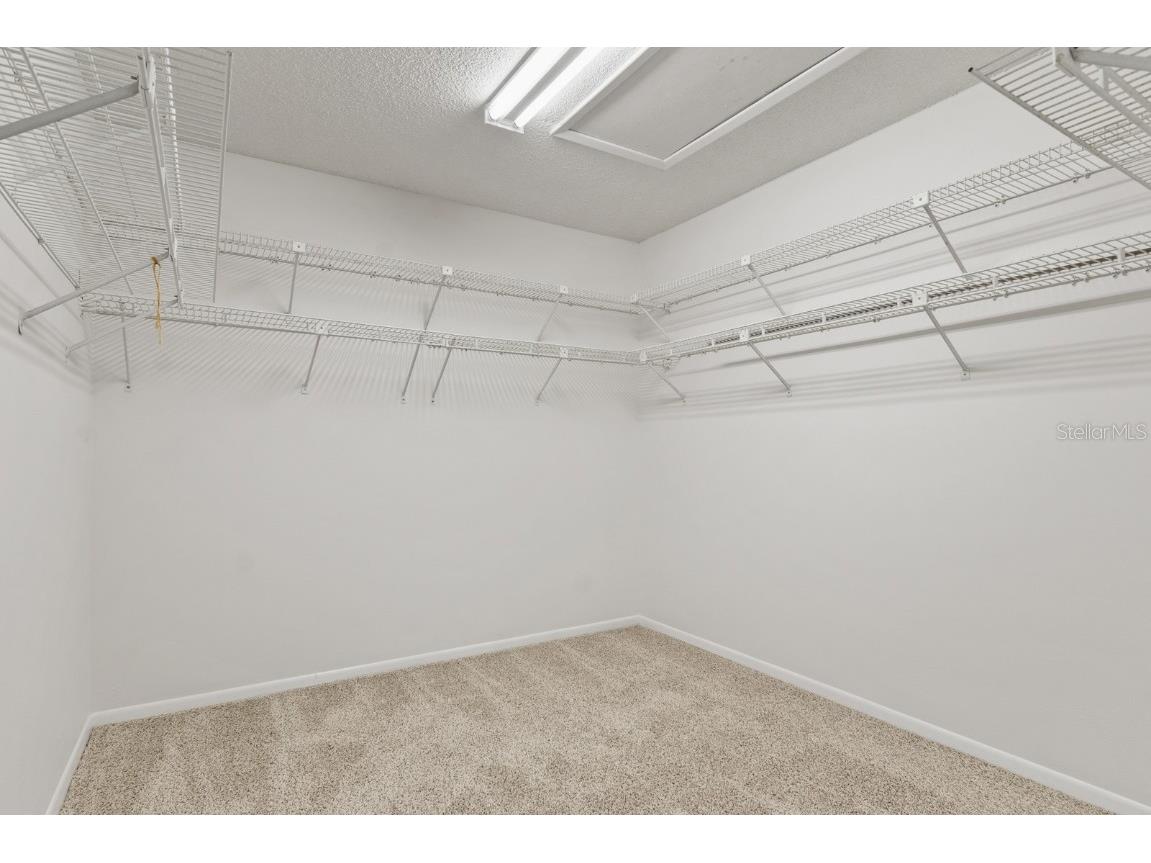 10206 Lakeview Drive New Port Richey FL 34654 TB8451797 image27