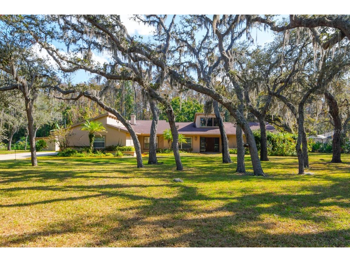 10206 Lakeview Drive New Port Richey FL 34654 TB8451797 image3