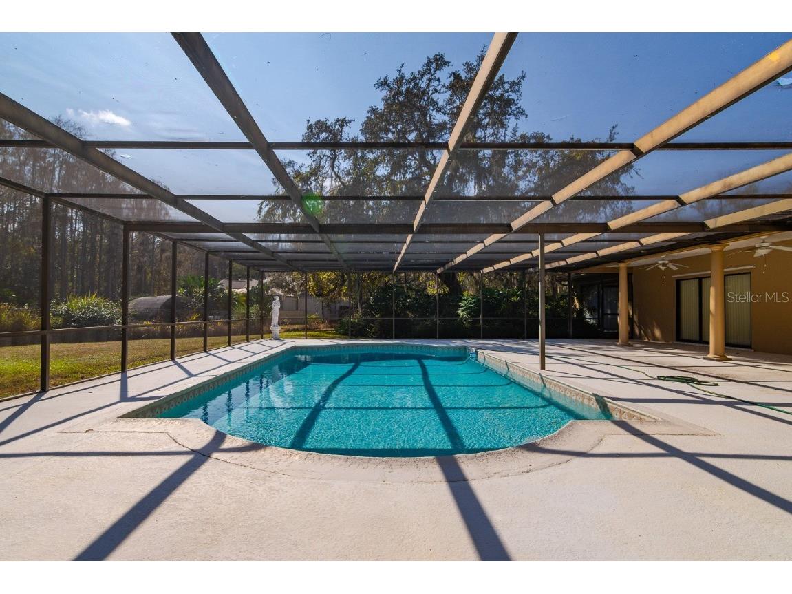 10206 Lakeview Drive New Port Richey FL 34654 TB8451797 image36