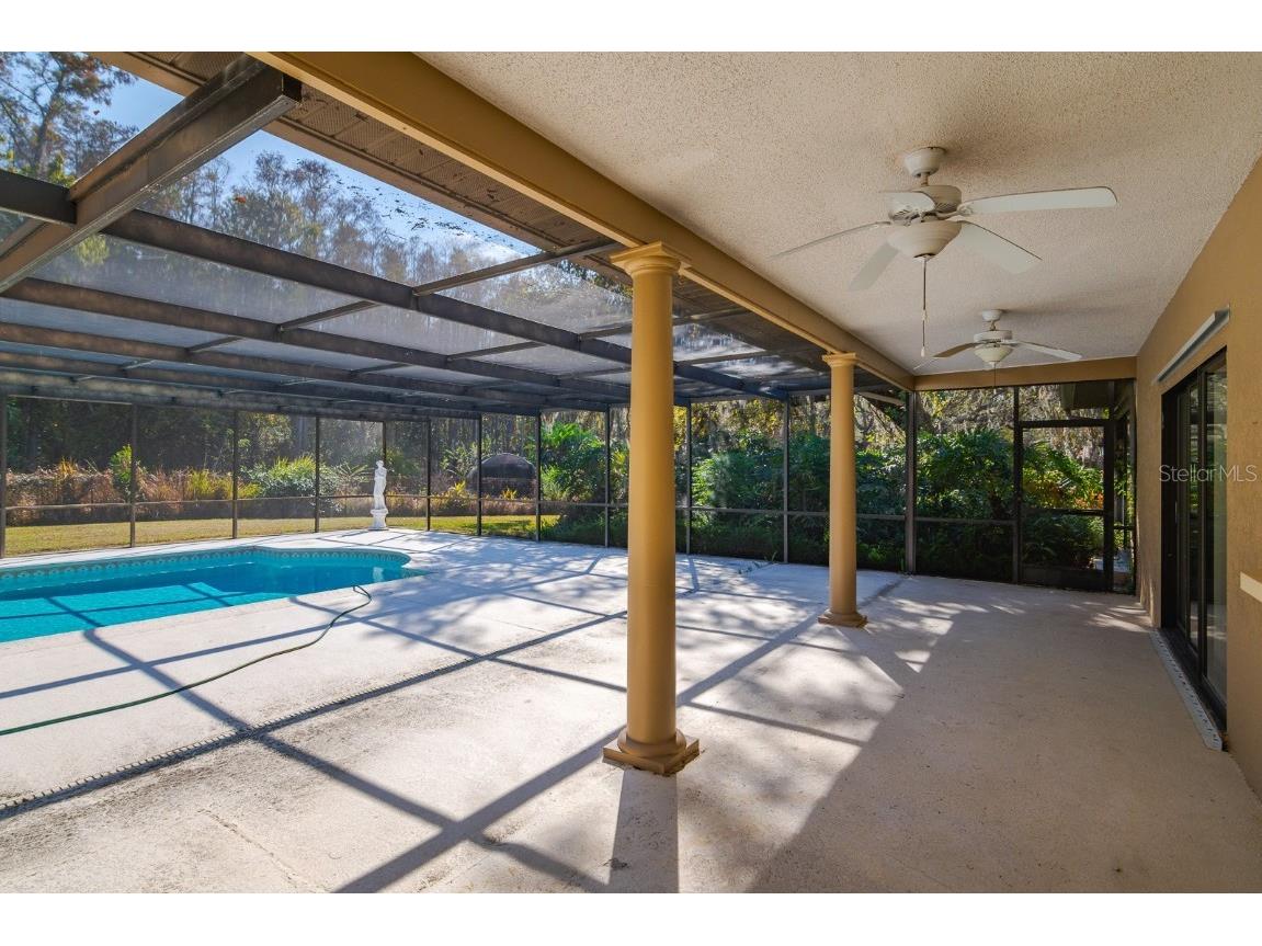 10206 Lakeview Drive New Port Richey FL 34654 TB8451797 image41