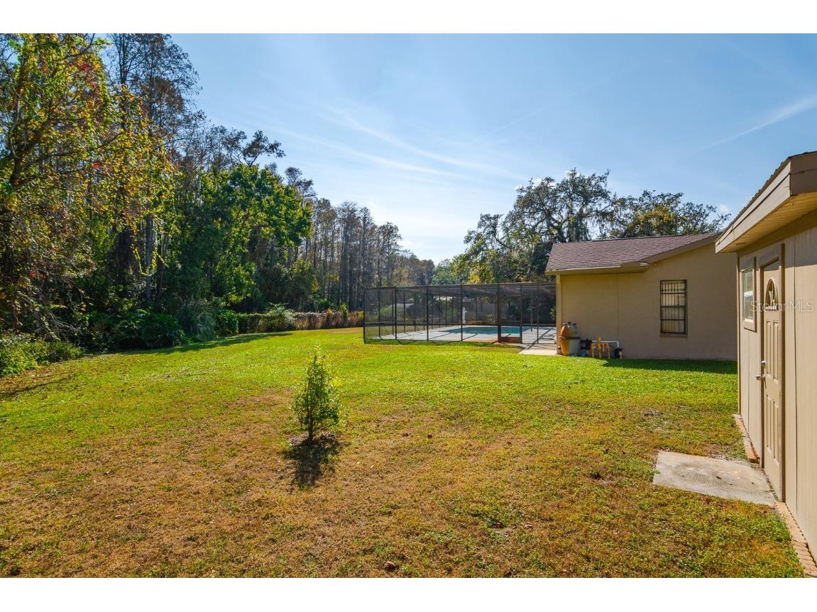 10206 Lakeview Drive New Port Richey FL 34654 TB8451797 image45