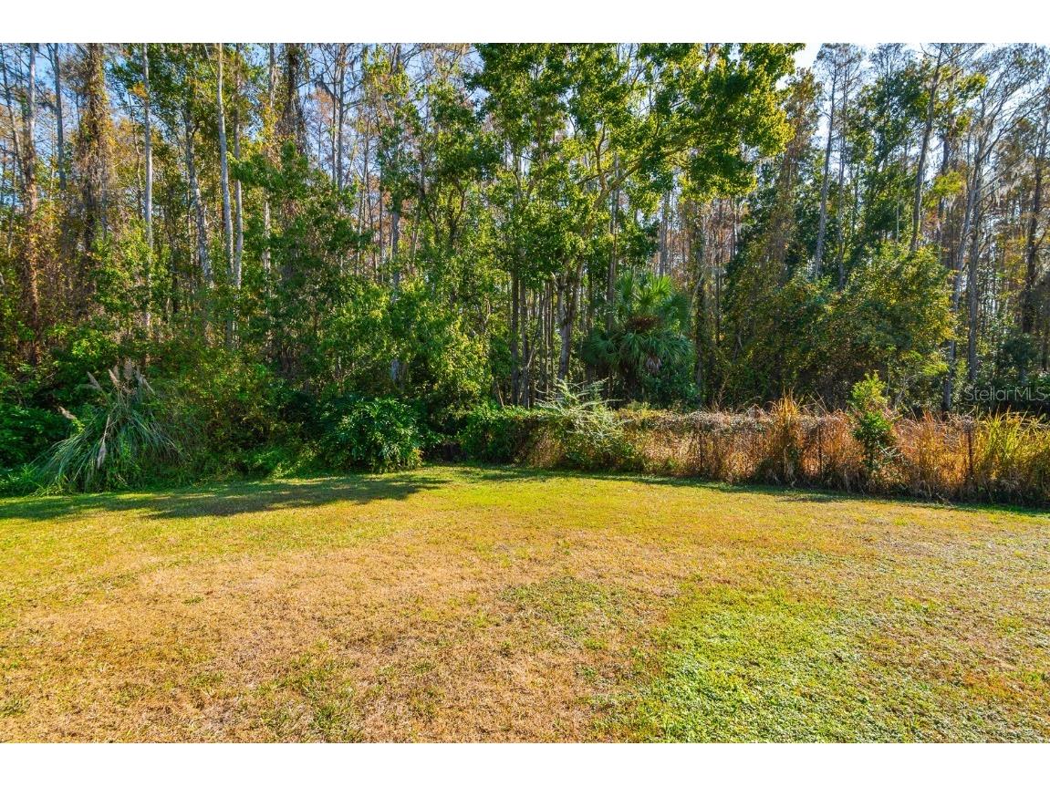 10206 Lakeview Drive New Port Richey FL 34654 TB8451797 image49