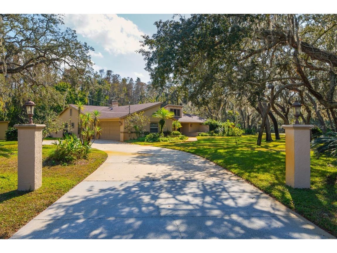 10206 Lakeview Drive New Port Richey FL 34654 TB8451797 image50