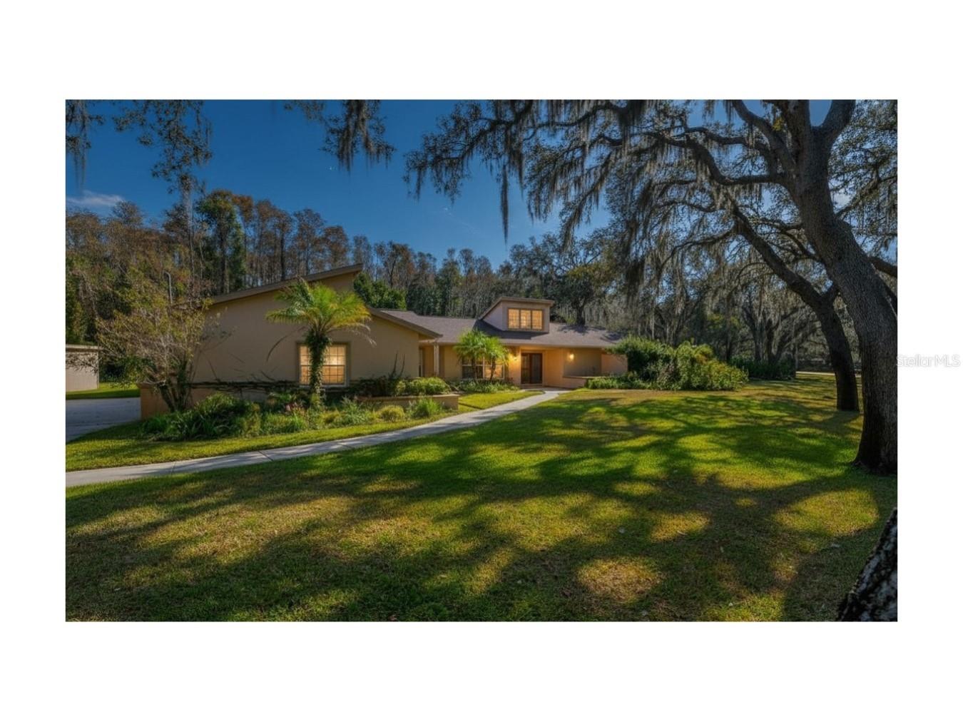 10206 Lakeview Drive New Port Richey FL 34654 TB8482526 image1