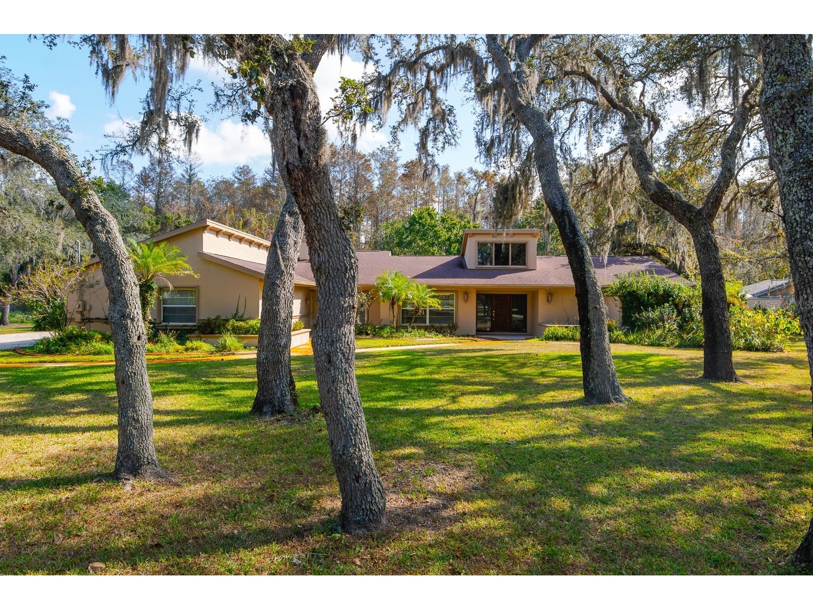 10206 Lakeview Drive New Port Richey FL 34654 TB8482526 image3