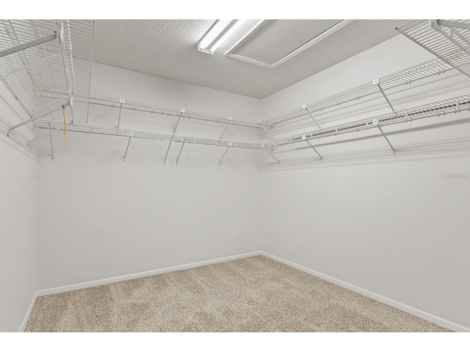 10206 Lakeview Drive New Port Richey FL 34654 TB8482526 image32