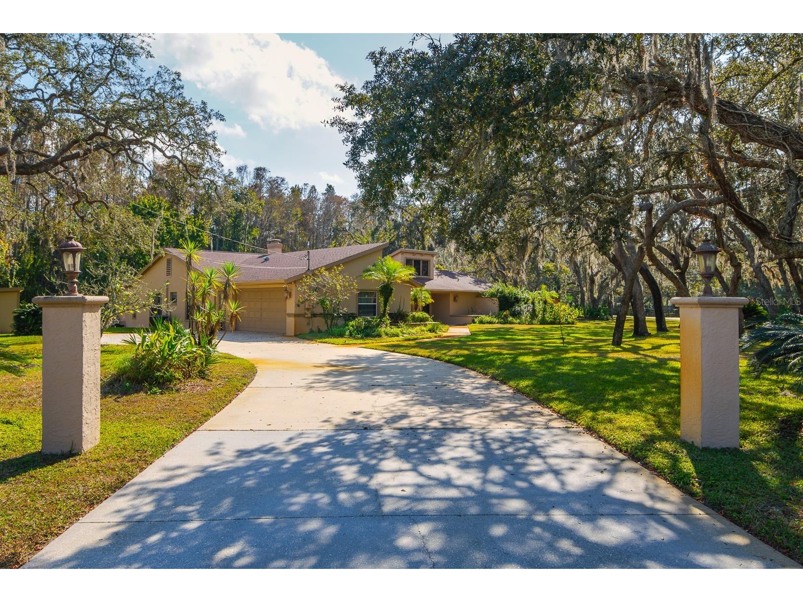 10206 Lakeview Drive New Port Richey FL 34654 TB8482526 image4