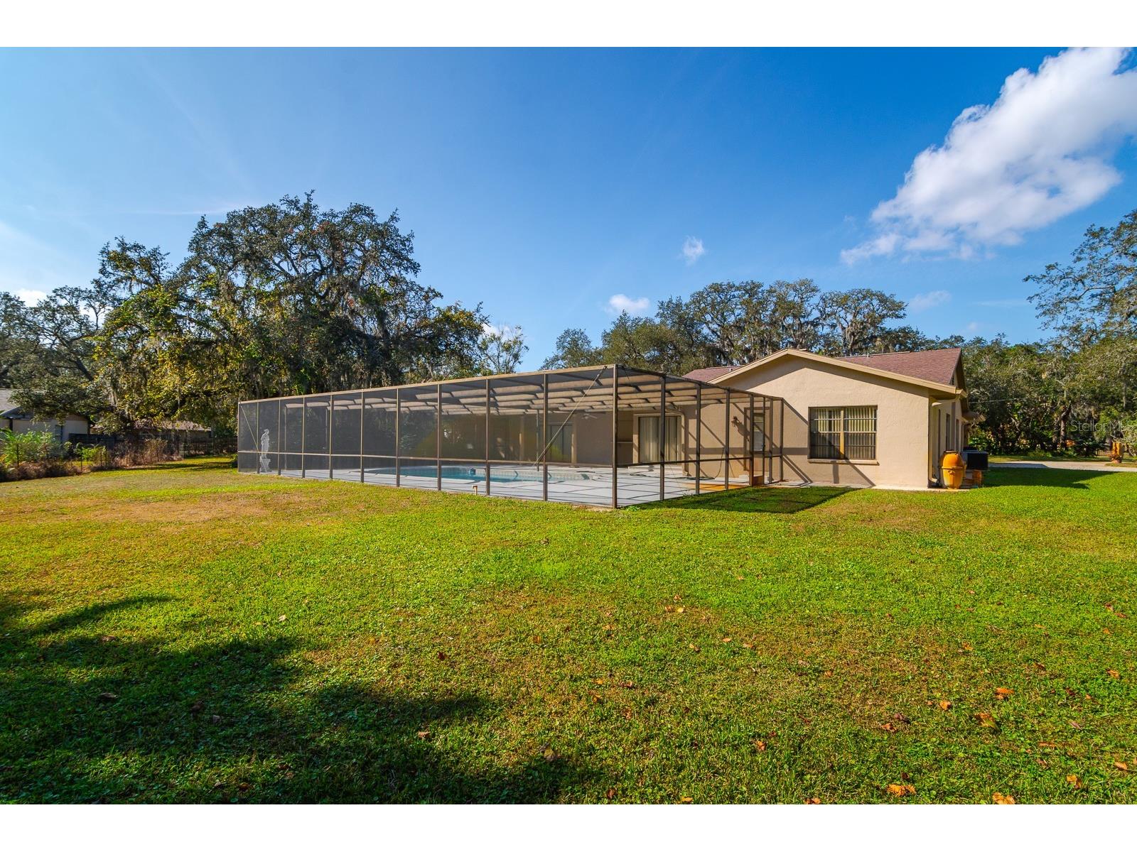10206 Lakeview Drive New Port Richey FL 34654 TB8482526 image43