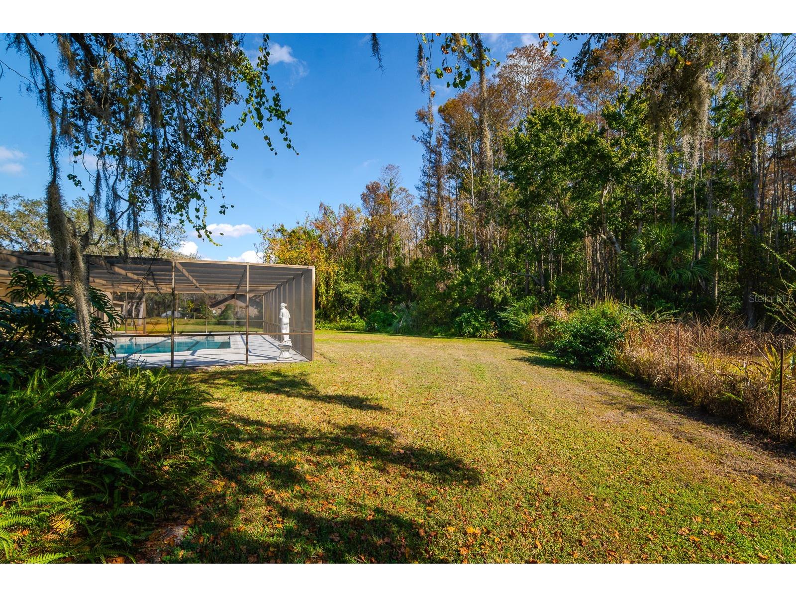 10206 Lakeview Drive New Port Richey FL 34654 TB8482526 image45