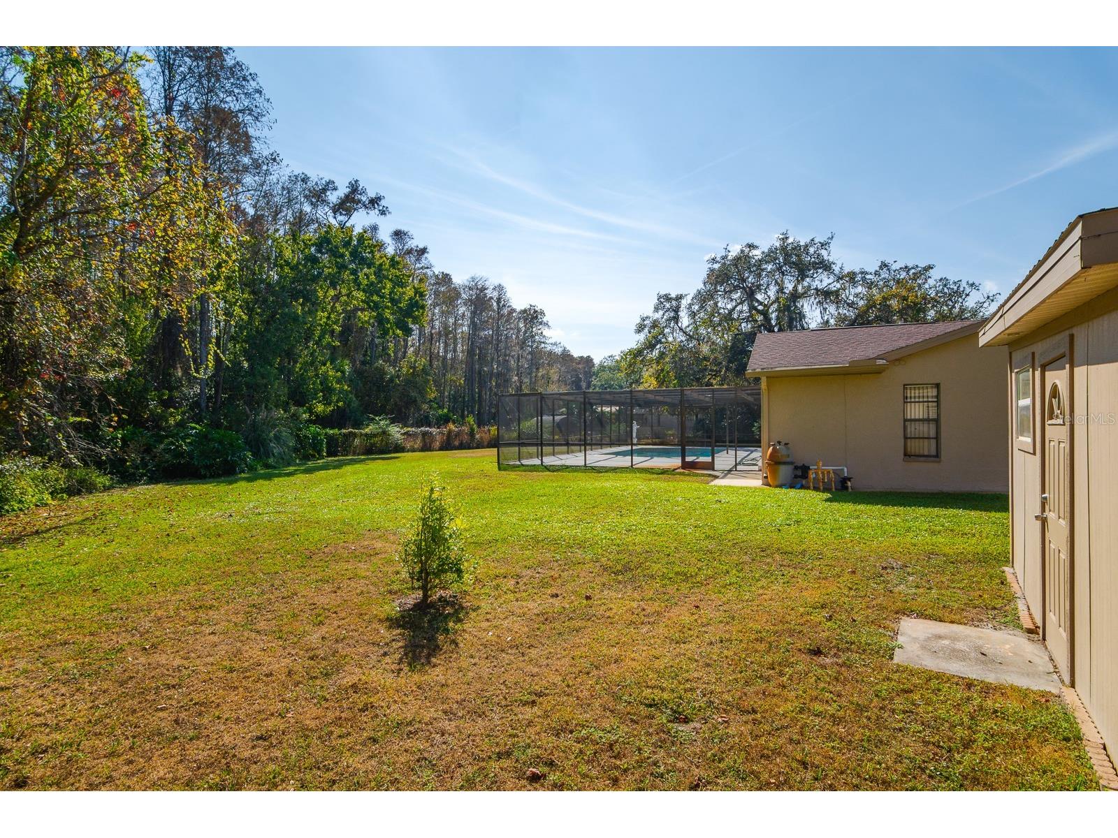 10206 Lakeview Drive New Port Richey FL 34654 TB8482526 image46