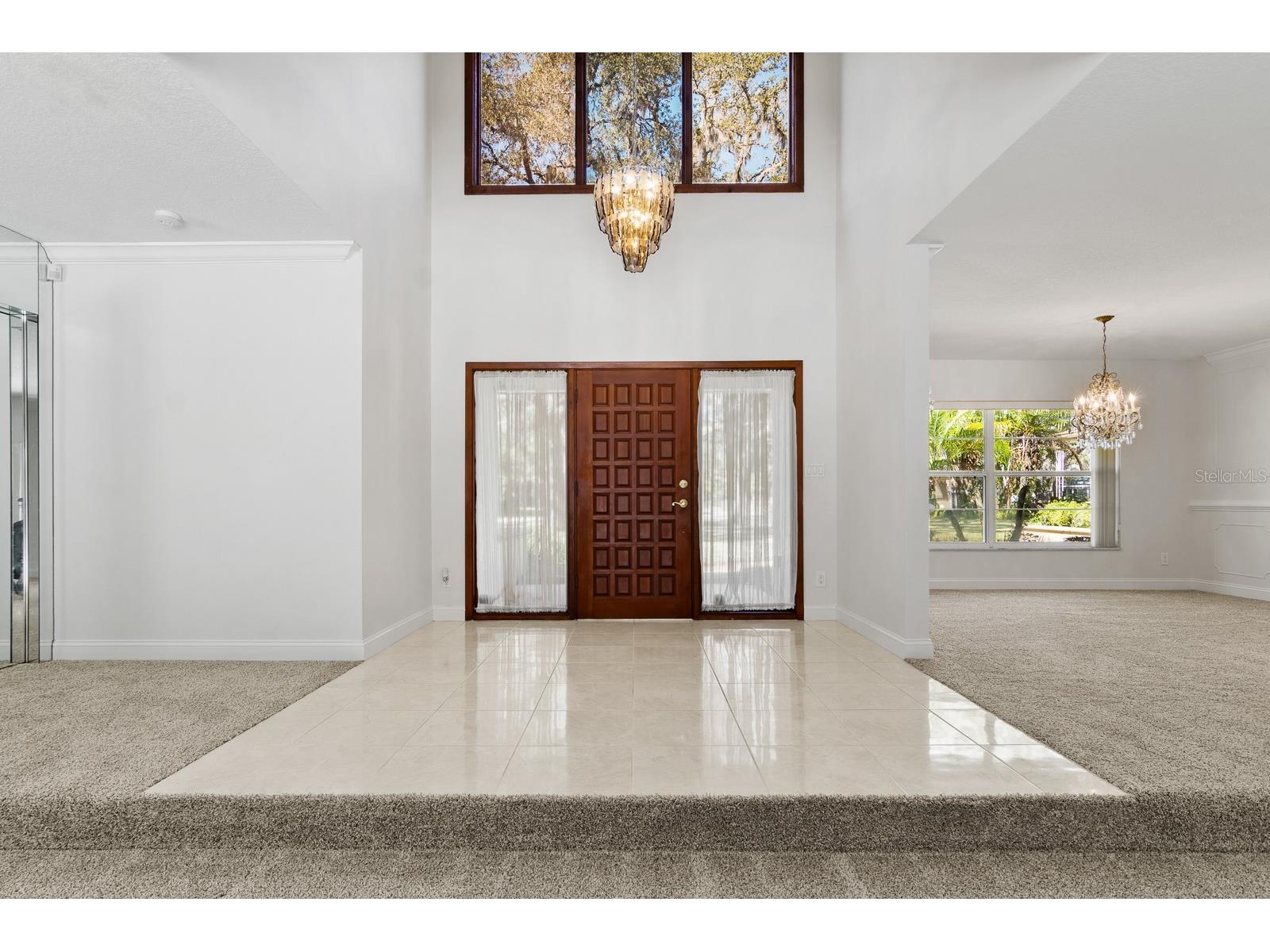 10206 Lakeview Drive New Port Richey FL 34654 TB8482526 image5