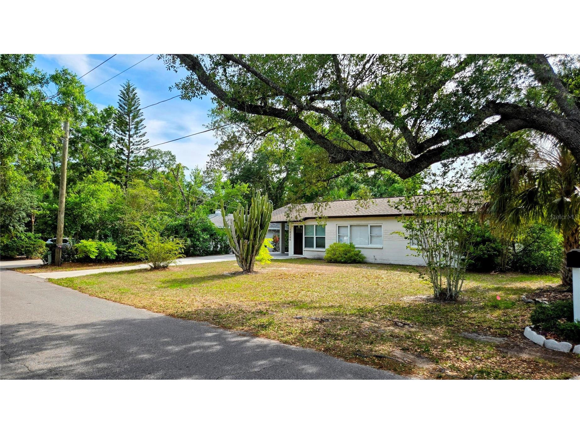 10206 N Oakleaf Avenue Tampa FL 33612 O6407530 image1