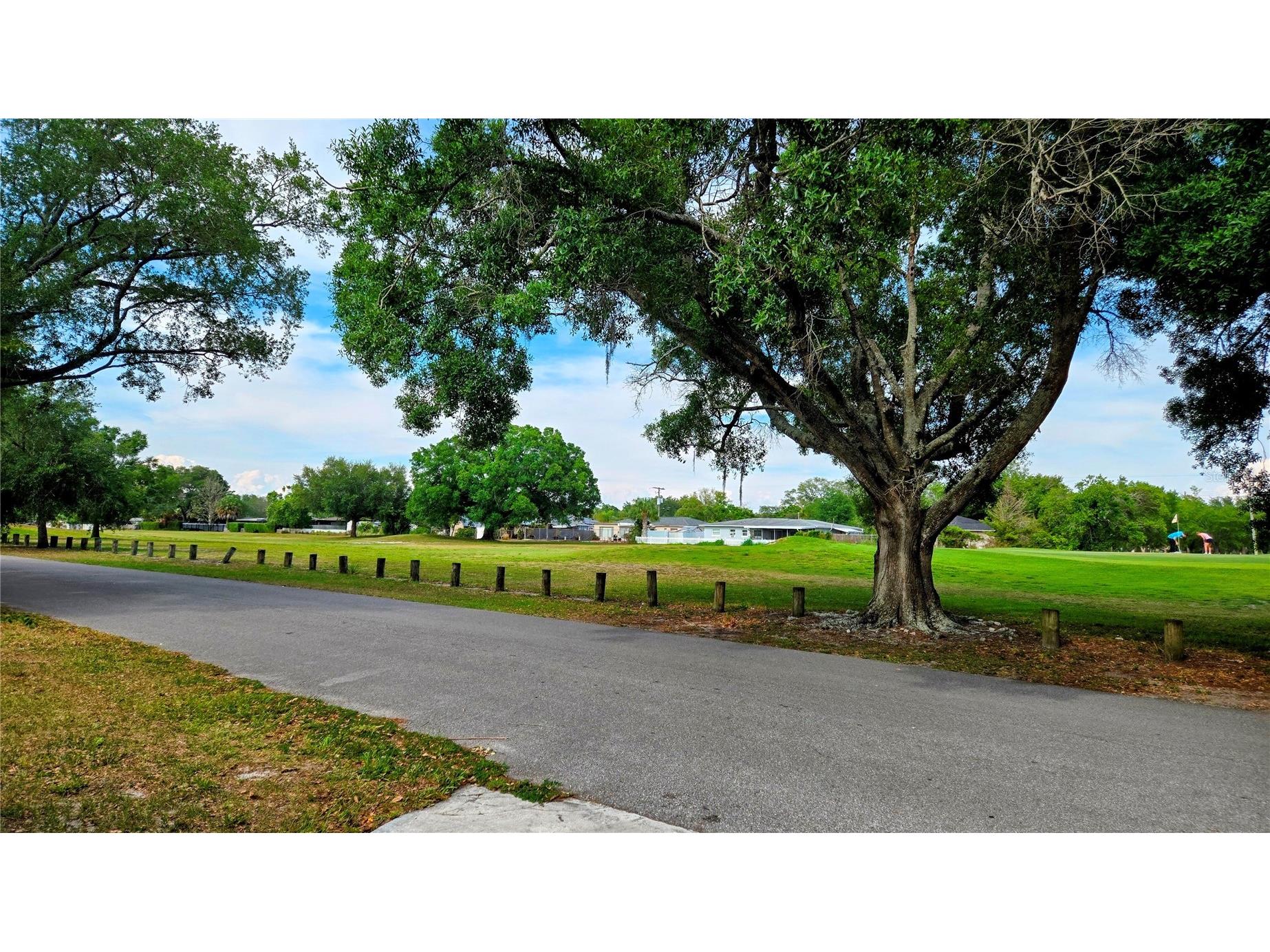 10206 N Oakleaf Avenue Tampa FL 33612 O6407530 image2