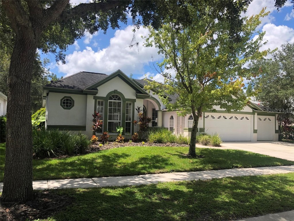 10206 Shadow Branch Drive Tampa FL 33647 G5064999 image1