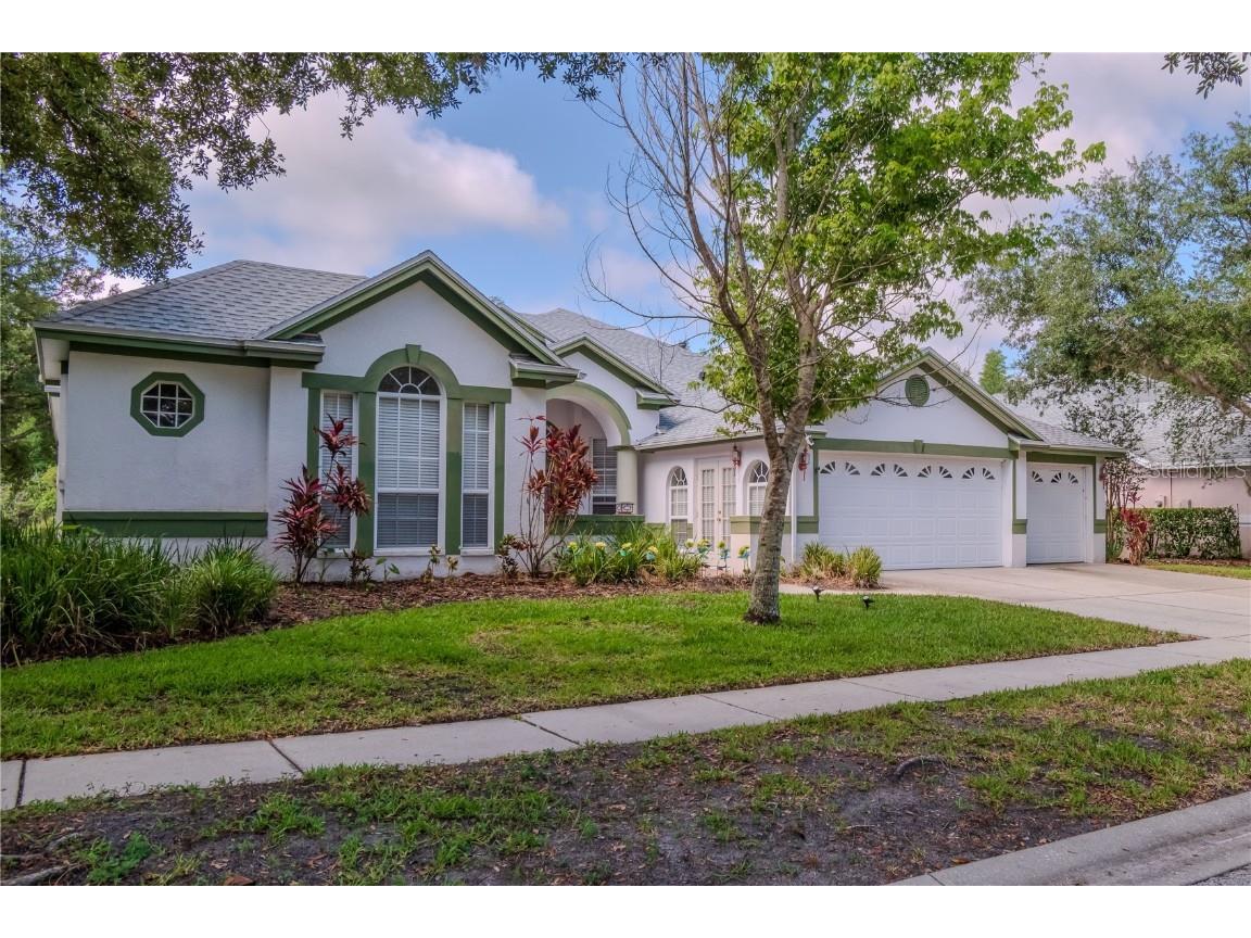 10206 Shadow Branch Drive Tampa FL 33647 T3515775 image1
