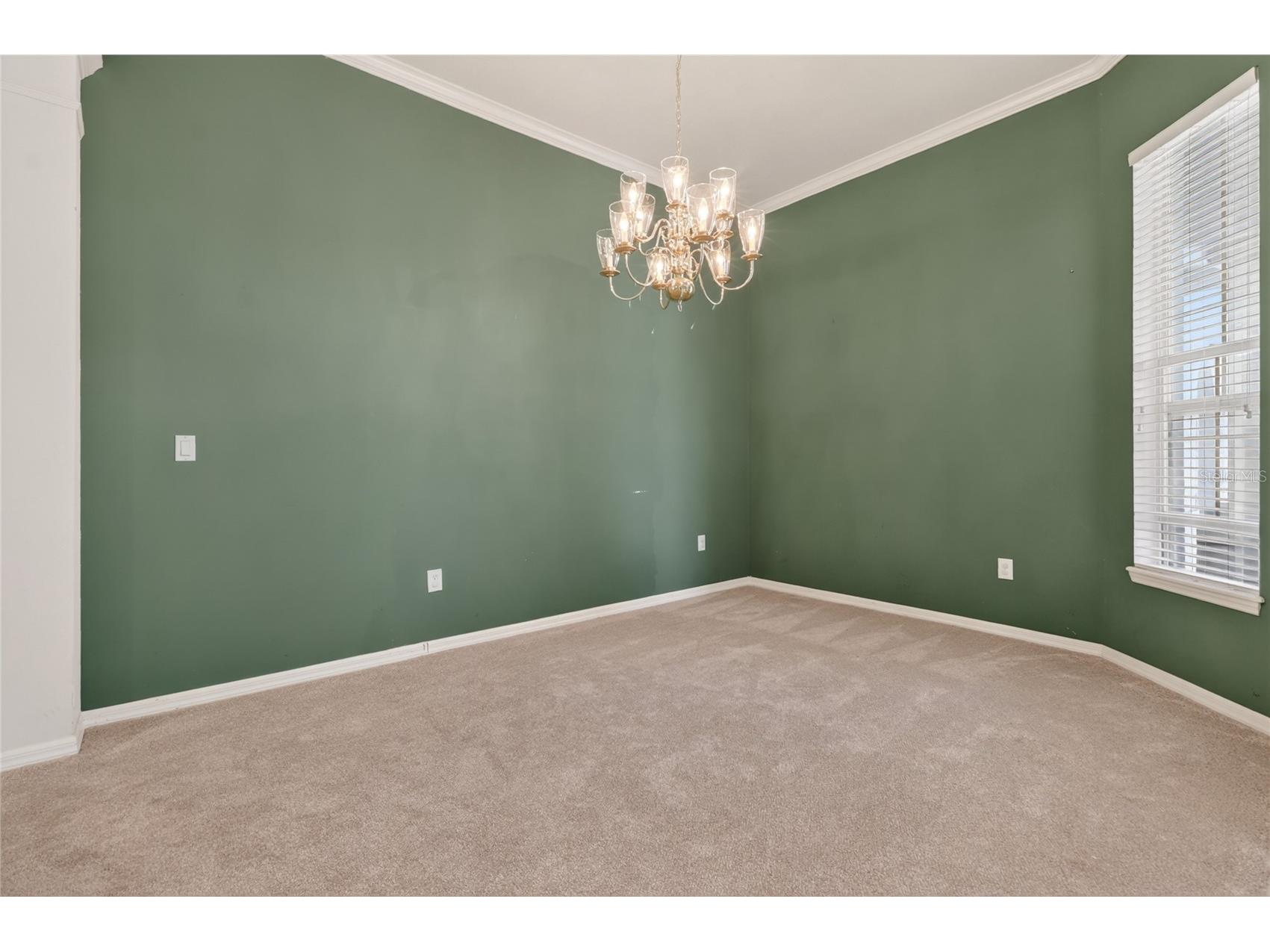 10206 Shadow Branch Drive Tampa FL 33647 TB8499414 image15