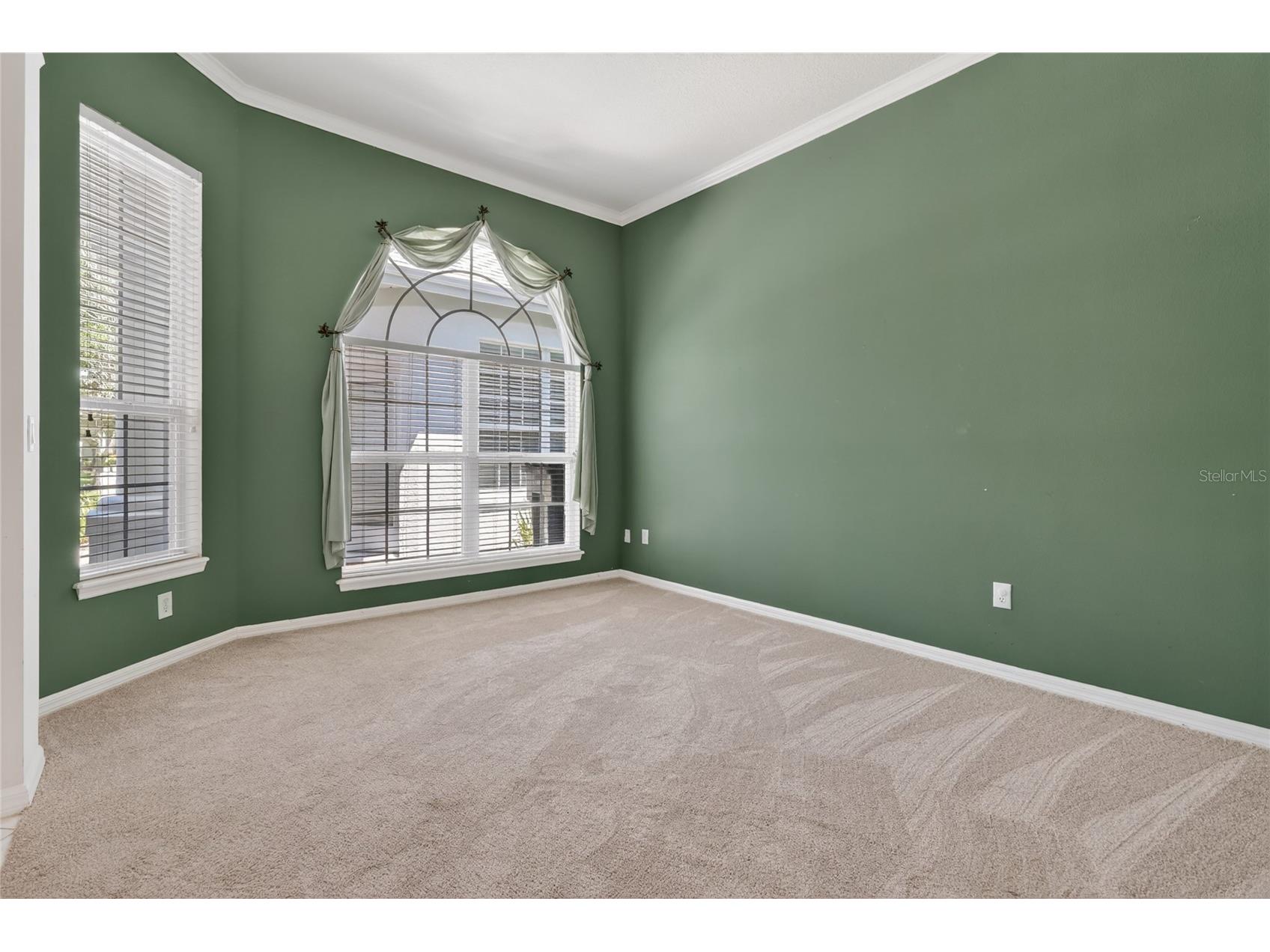 10206 Shadow Branch Drive Tampa FL 33647 TB8499414 image17