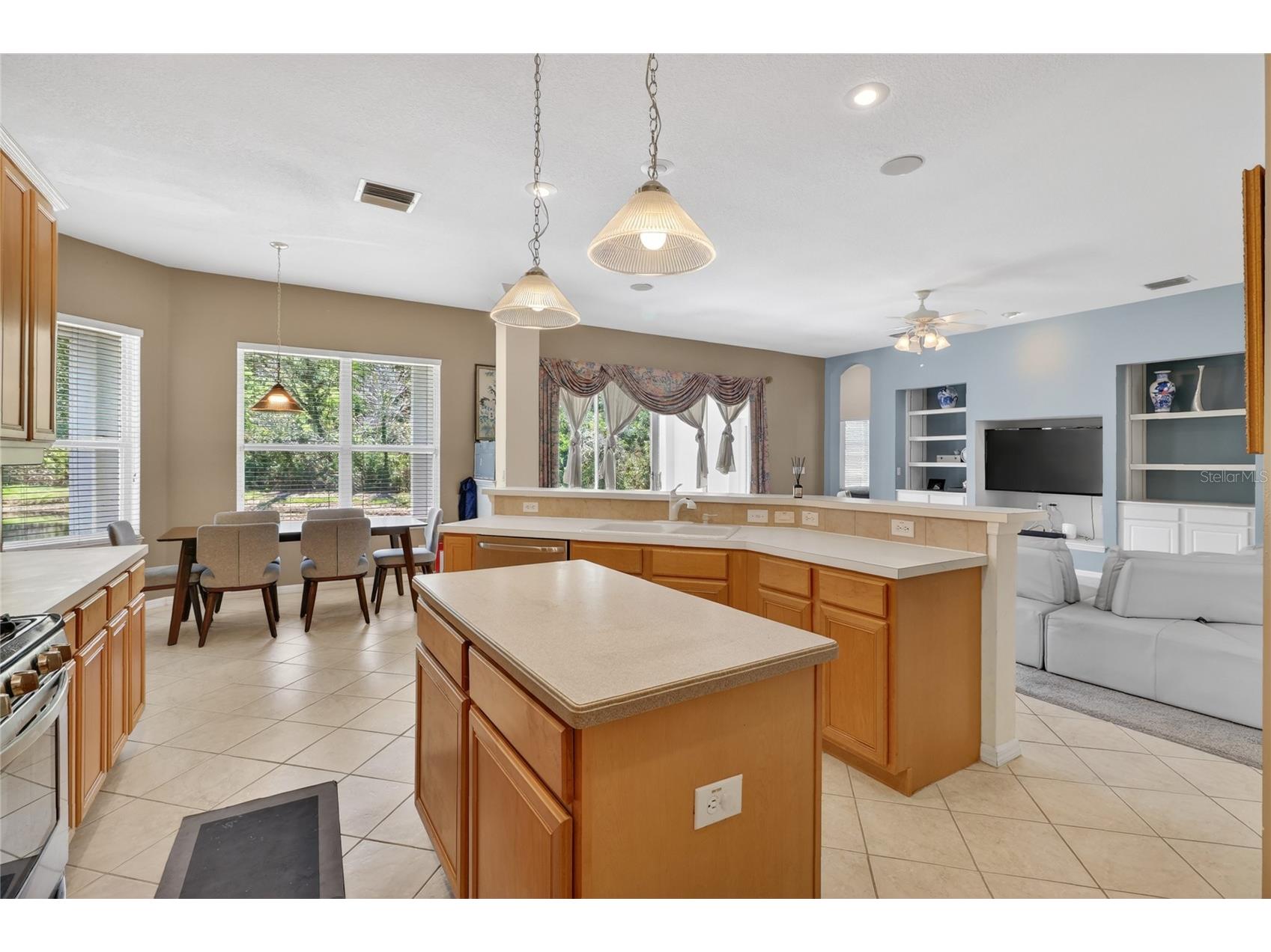 10206 Shadow Branch Drive Tampa FL 33647 TB8499414 image31