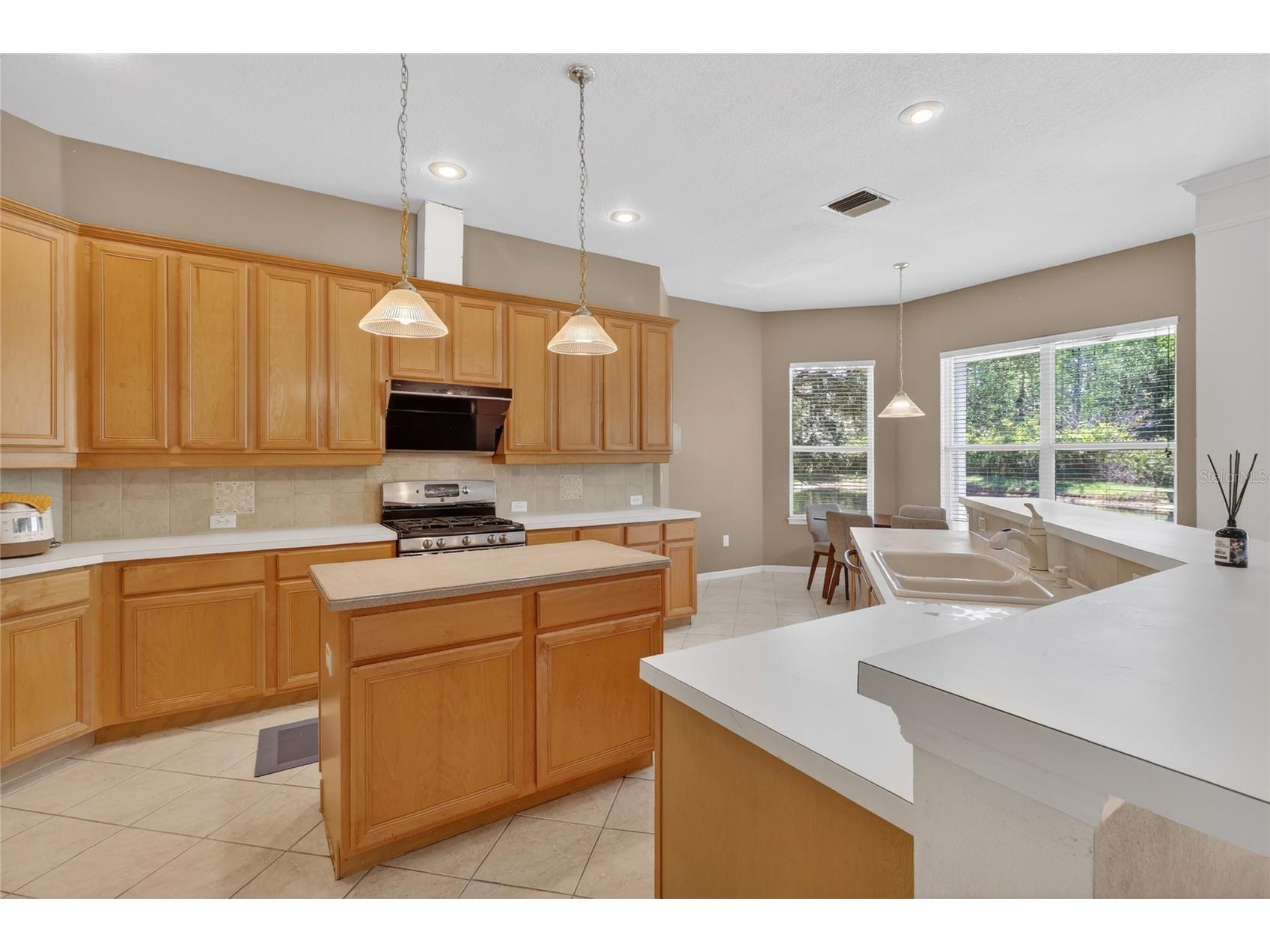 10206 Shadow Branch Drive Tampa FL 33647 TB8499414 image32