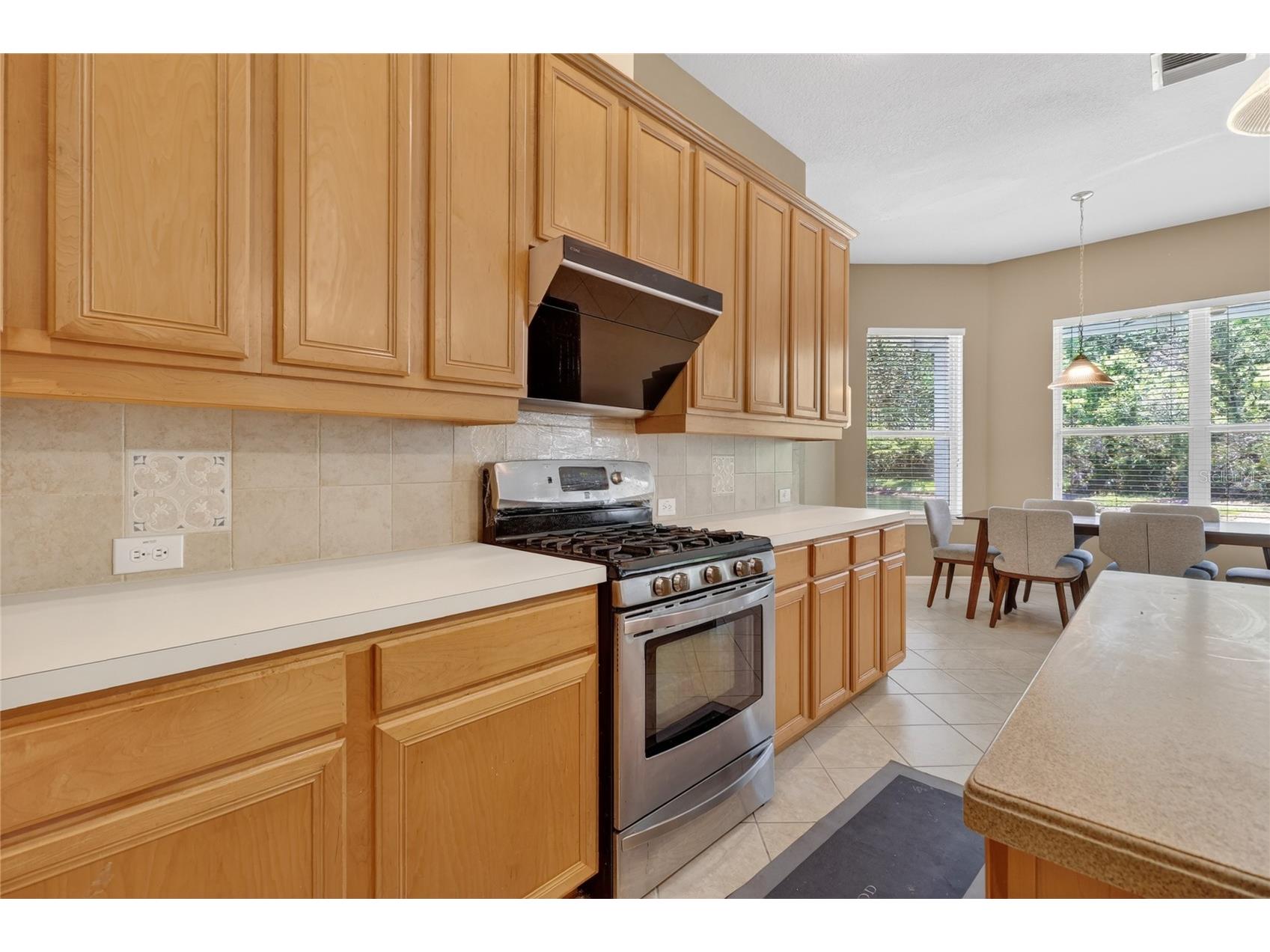 10206 Shadow Branch Drive Tampa FL 33647 TB8499414 image33