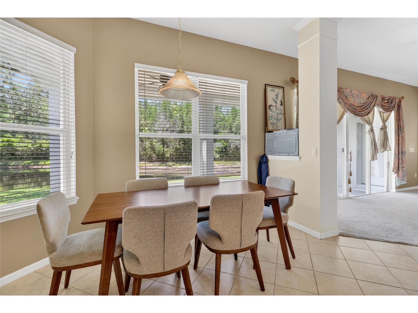 10206 Shadow Branch Drive Tampa FL 33647 TB8499414 image36
