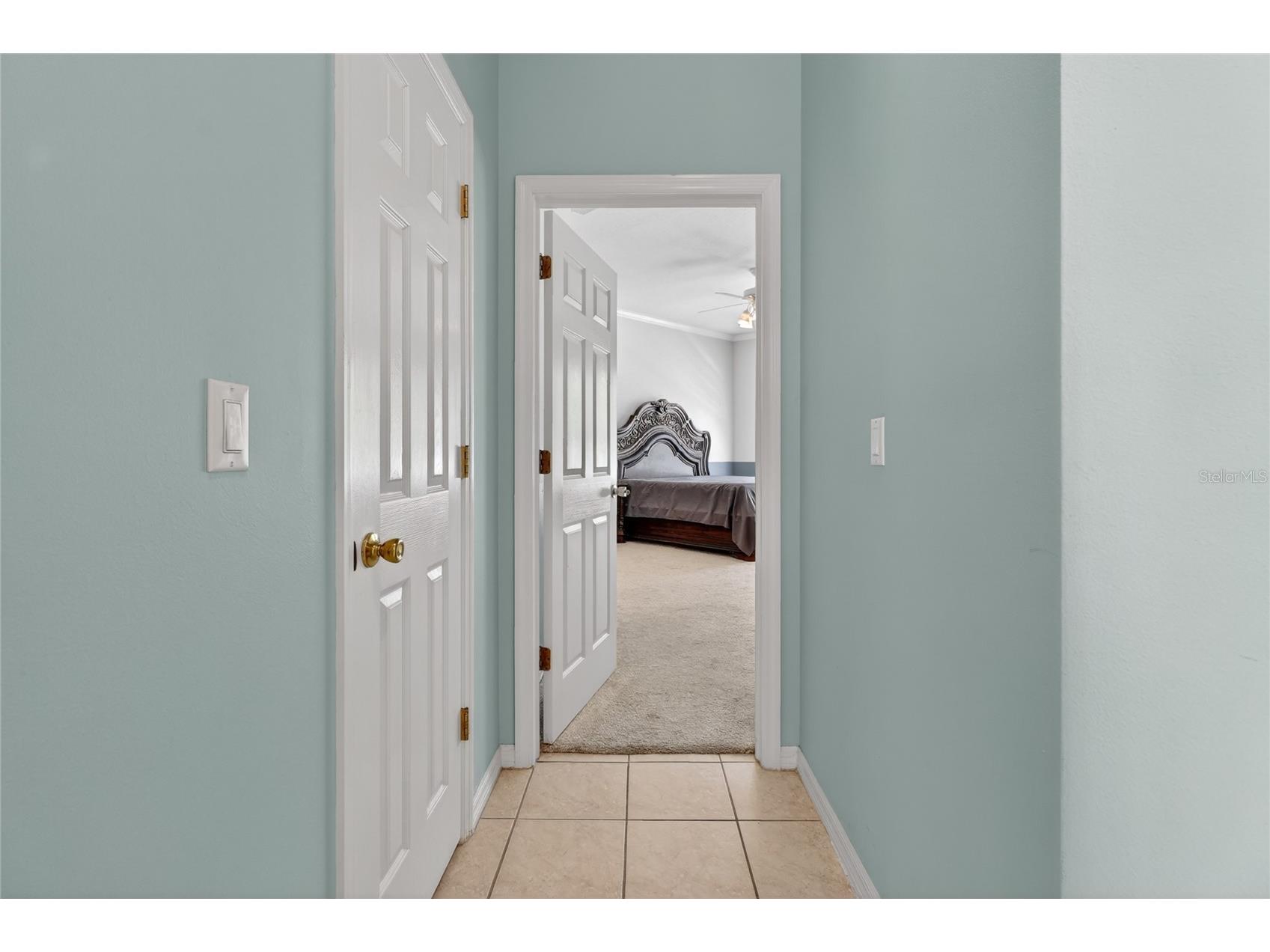 10206 Shadow Branch Drive Tampa FL 33647 TB8499414 image39
