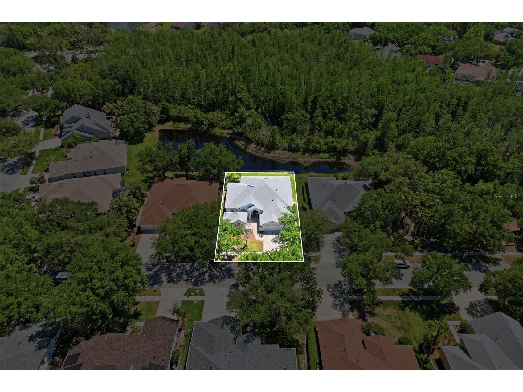 10206 Shadow Branch Drive Tampa FL 33647 TB8499414 image4