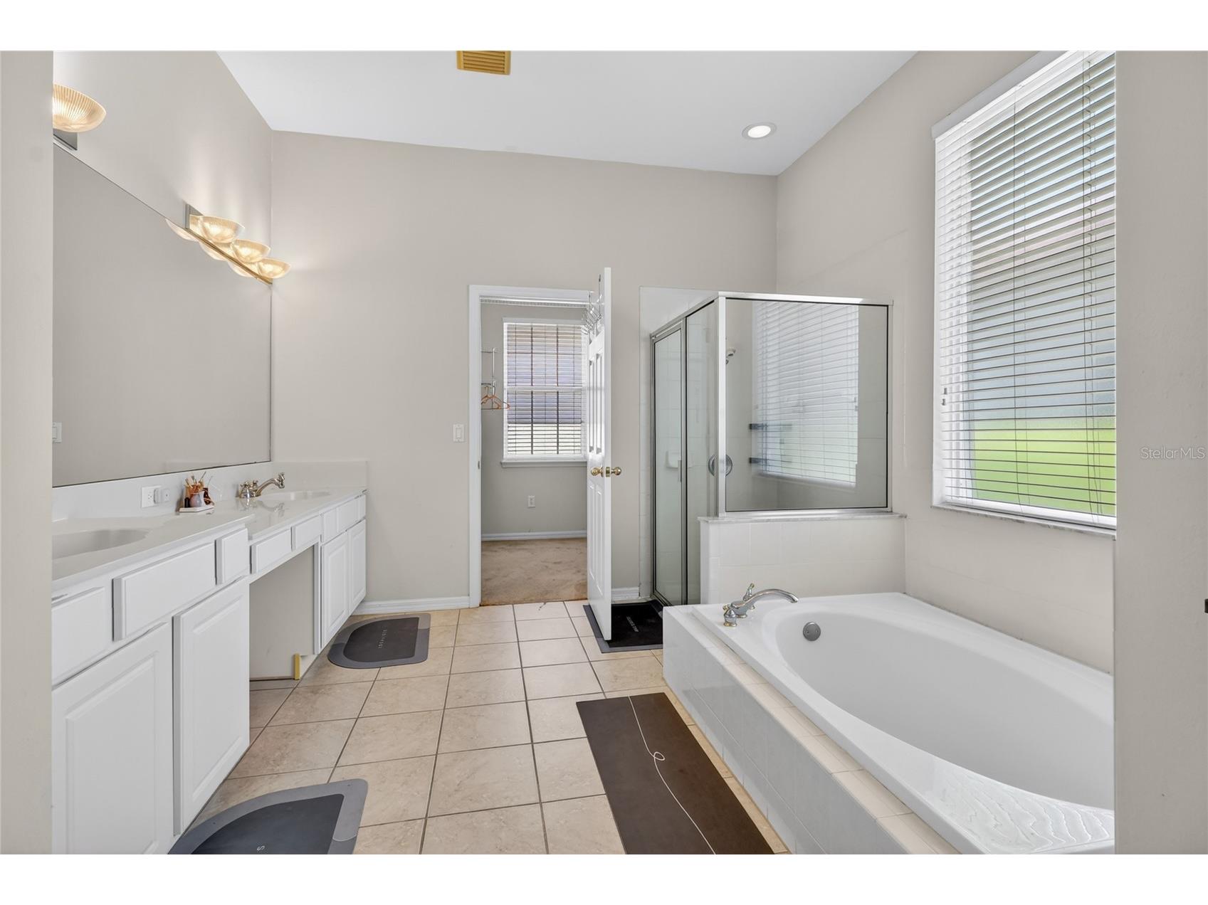 10206 Shadow Branch Drive Tampa FL 33647 TB8499414 image44