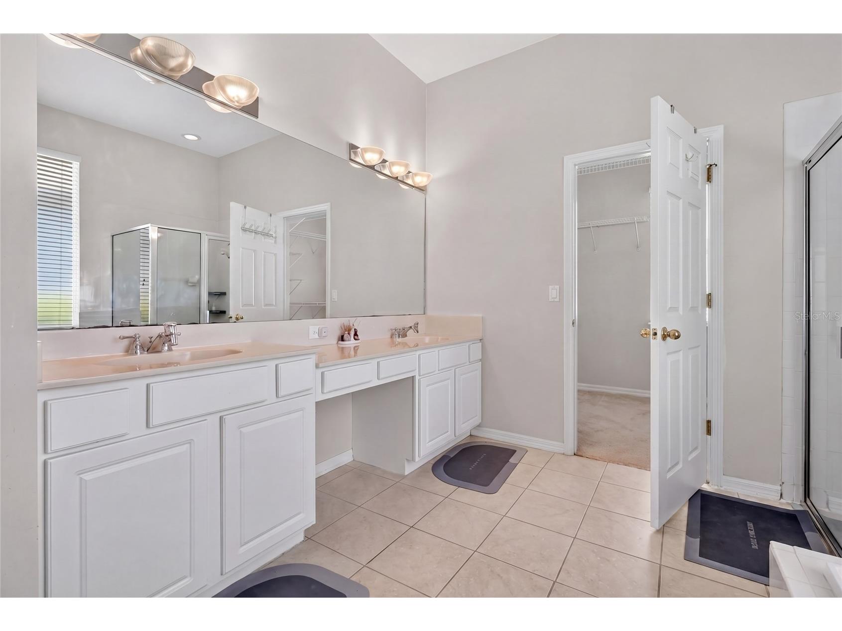 10206 Shadow Branch Drive Tampa FL 33647 TB8499414 image45