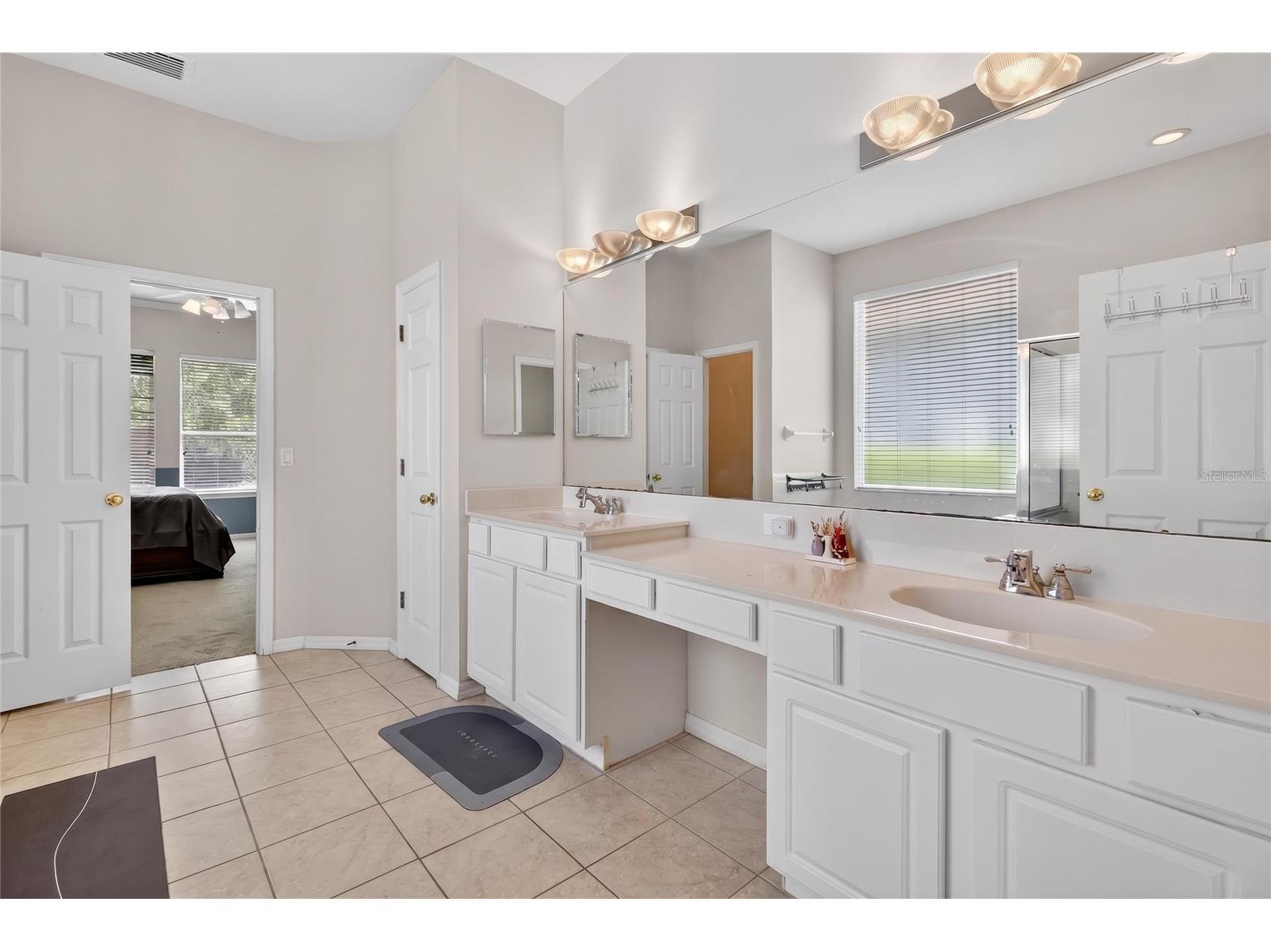 10206 Shadow Branch Drive Tampa FL 33647 TB8499414 image46