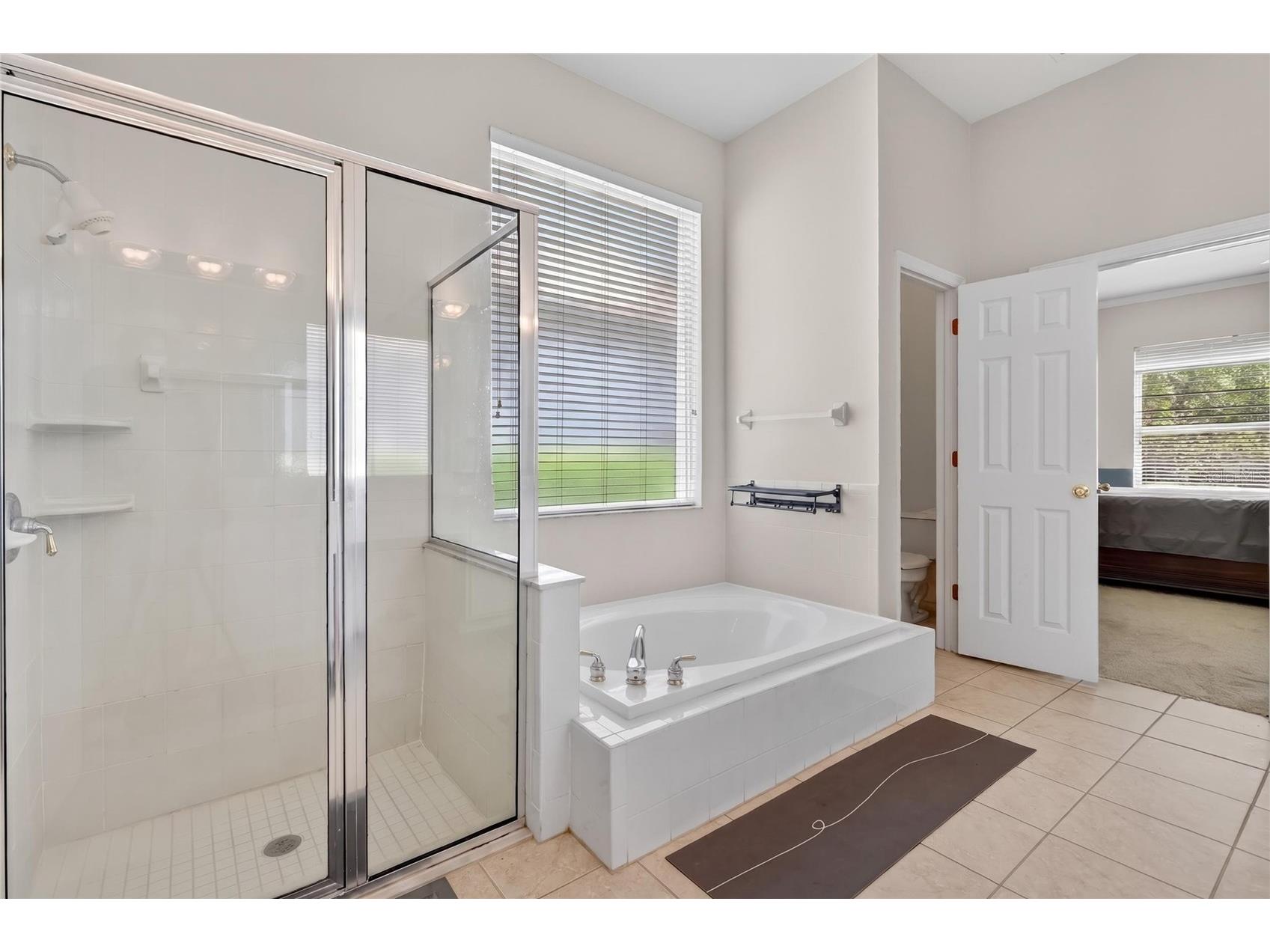 10206 Shadow Branch Drive Tampa FL 33647 TB8499414 image47