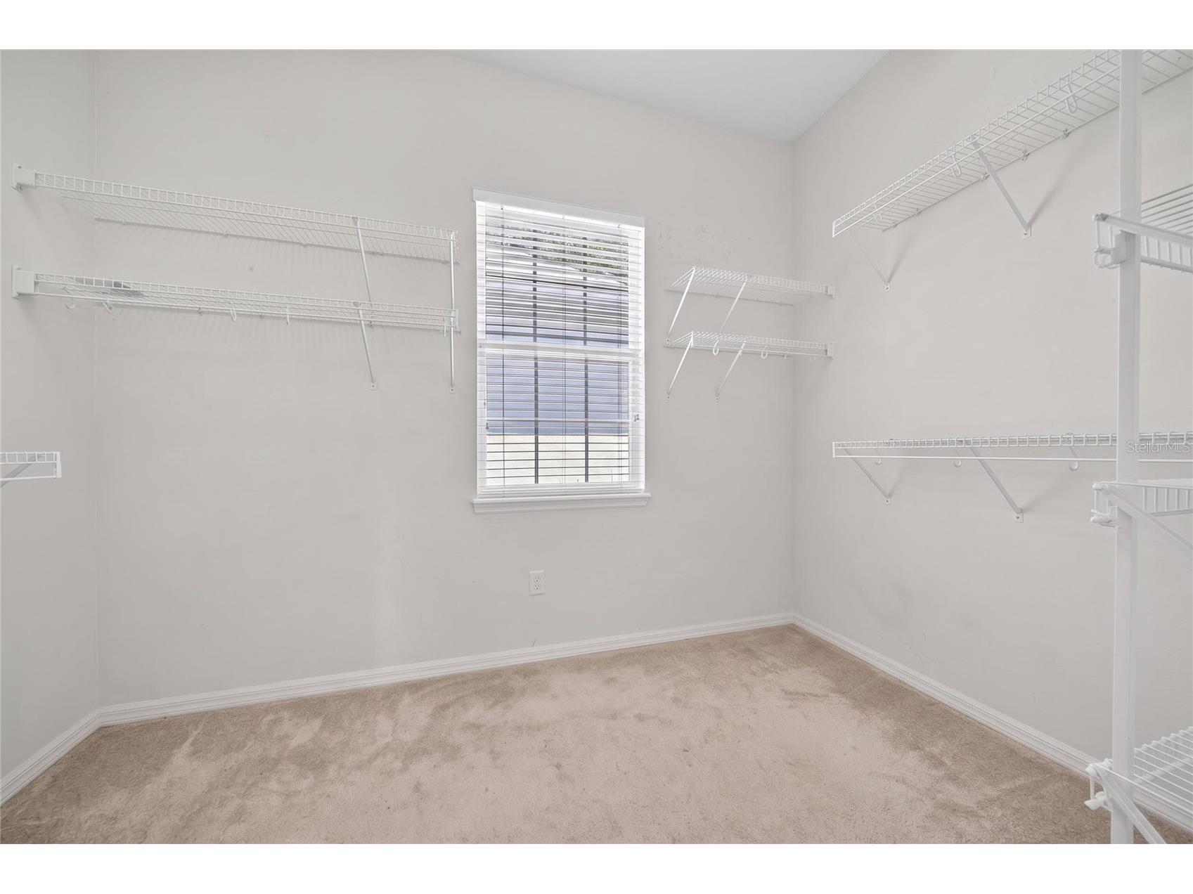 10206 Shadow Branch Drive Tampa FL 33647 TB8499414 image48