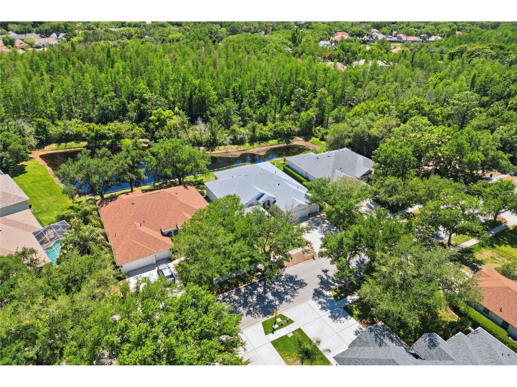 10206 Shadow Branch Drive Tampa FL 33647 TB8499414 image5
