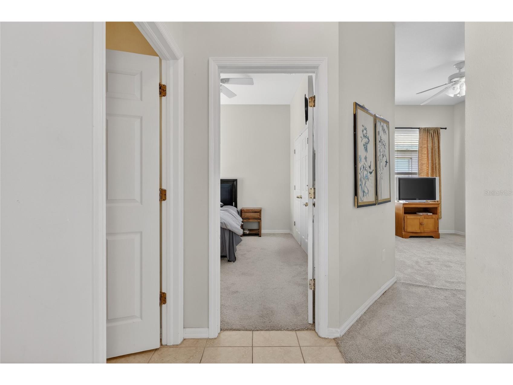 10206 Shadow Branch Drive Tampa FL 33647 TB8499414 image51