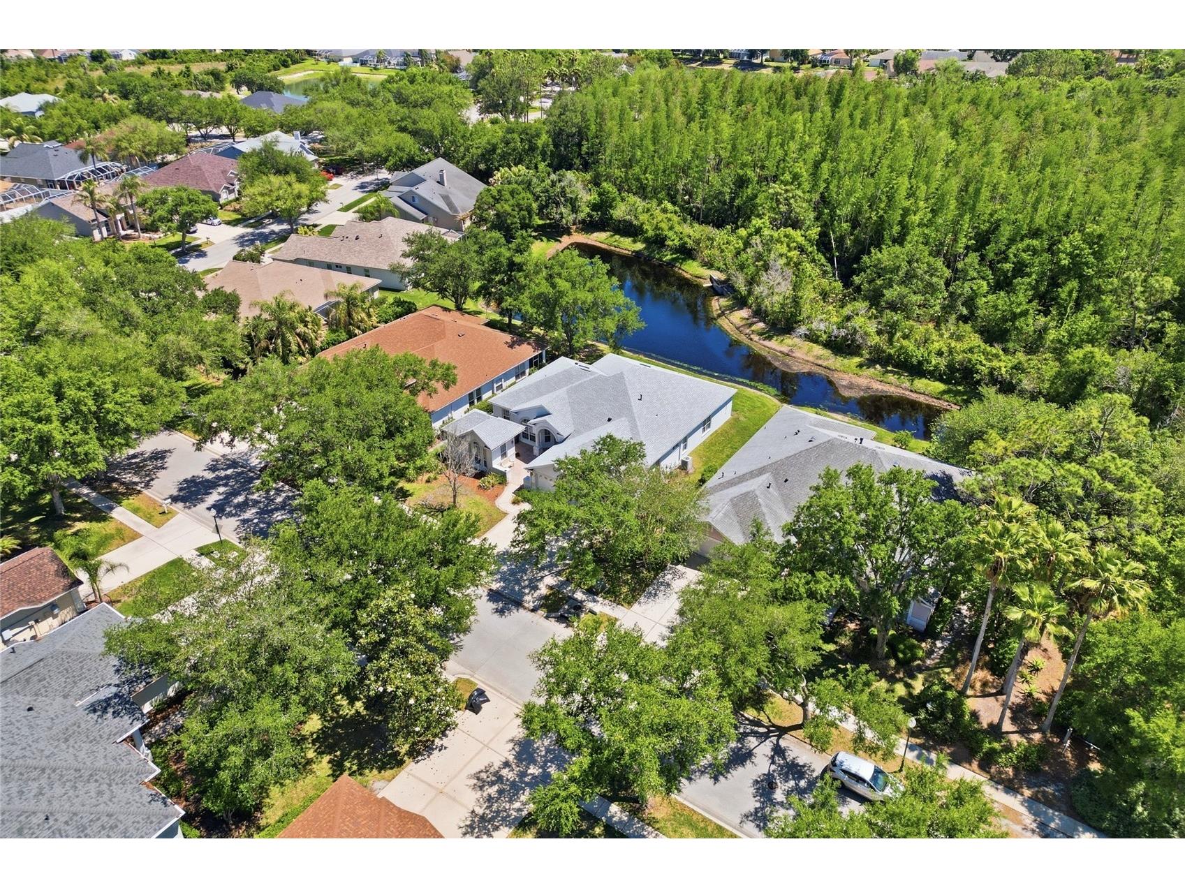 10206 Shadow Branch Drive Tampa FL 33647 TB8499414 image6