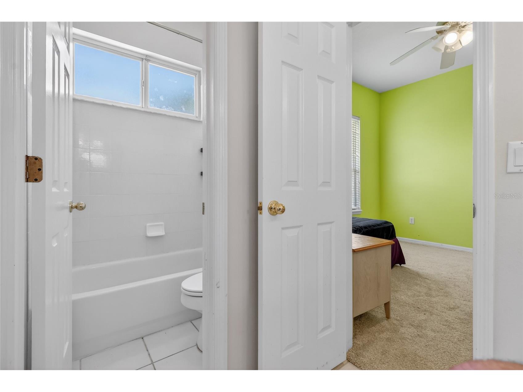 10206 Shadow Branch Drive Tampa FL 33647 TB8499414 image62
