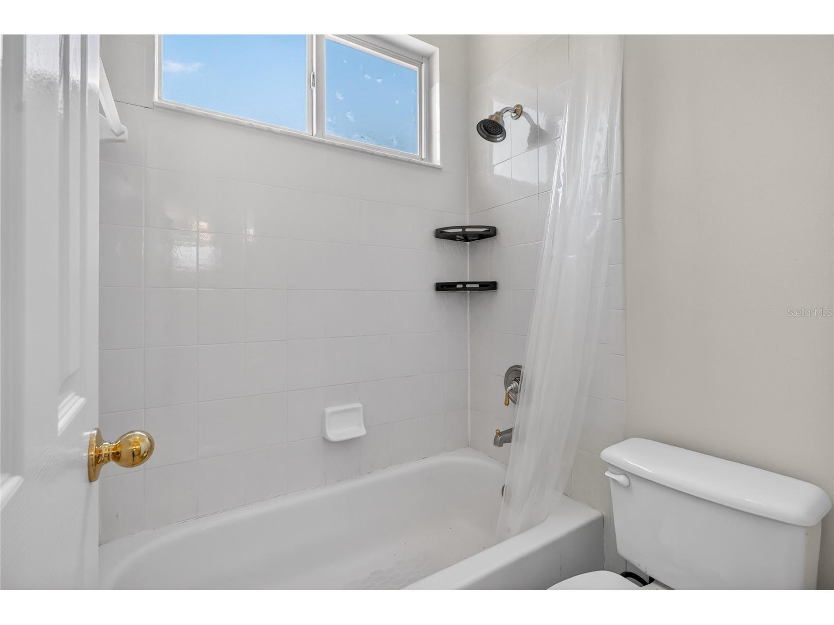 10206 Shadow Branch Drive Tampa FL 33647 TB8499414 image63
